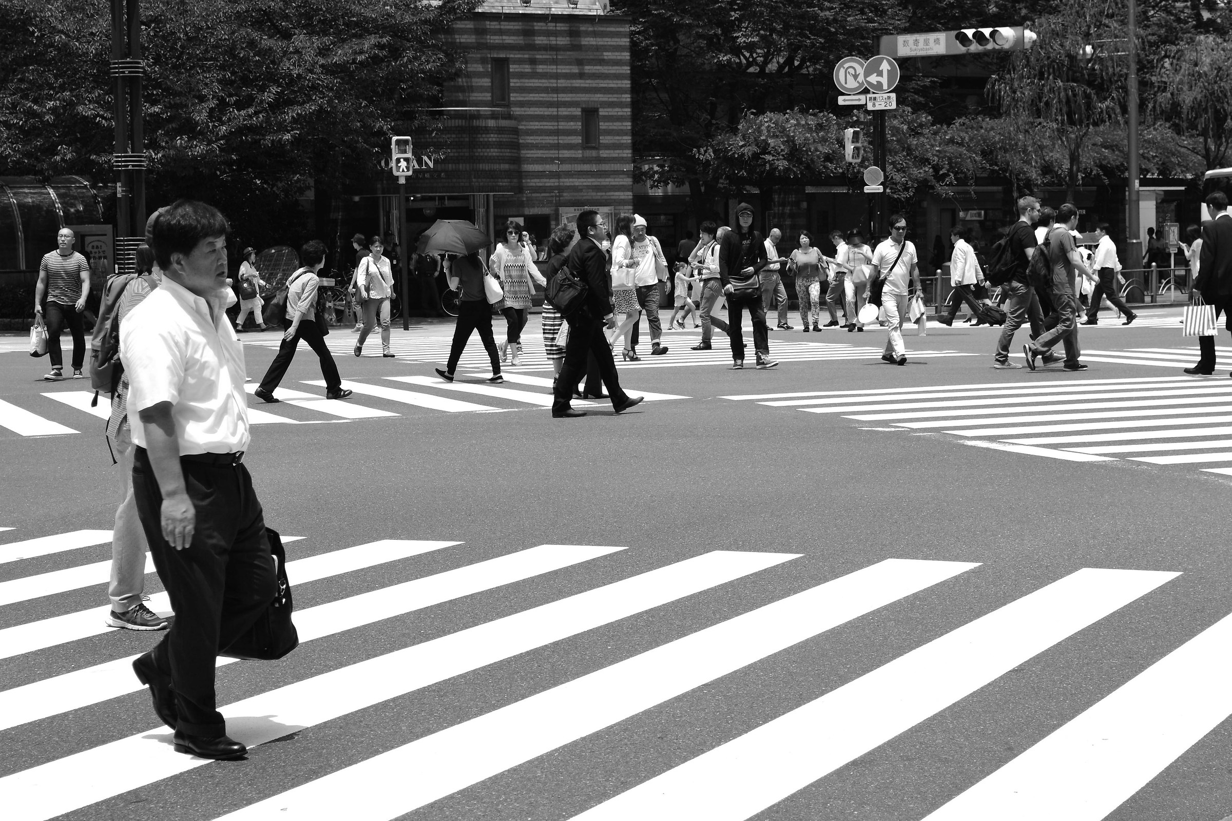 Slowing Dowin, Japan