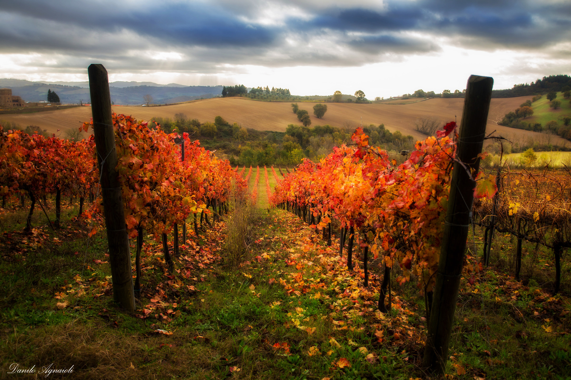 Color and atmosphere of autumn.