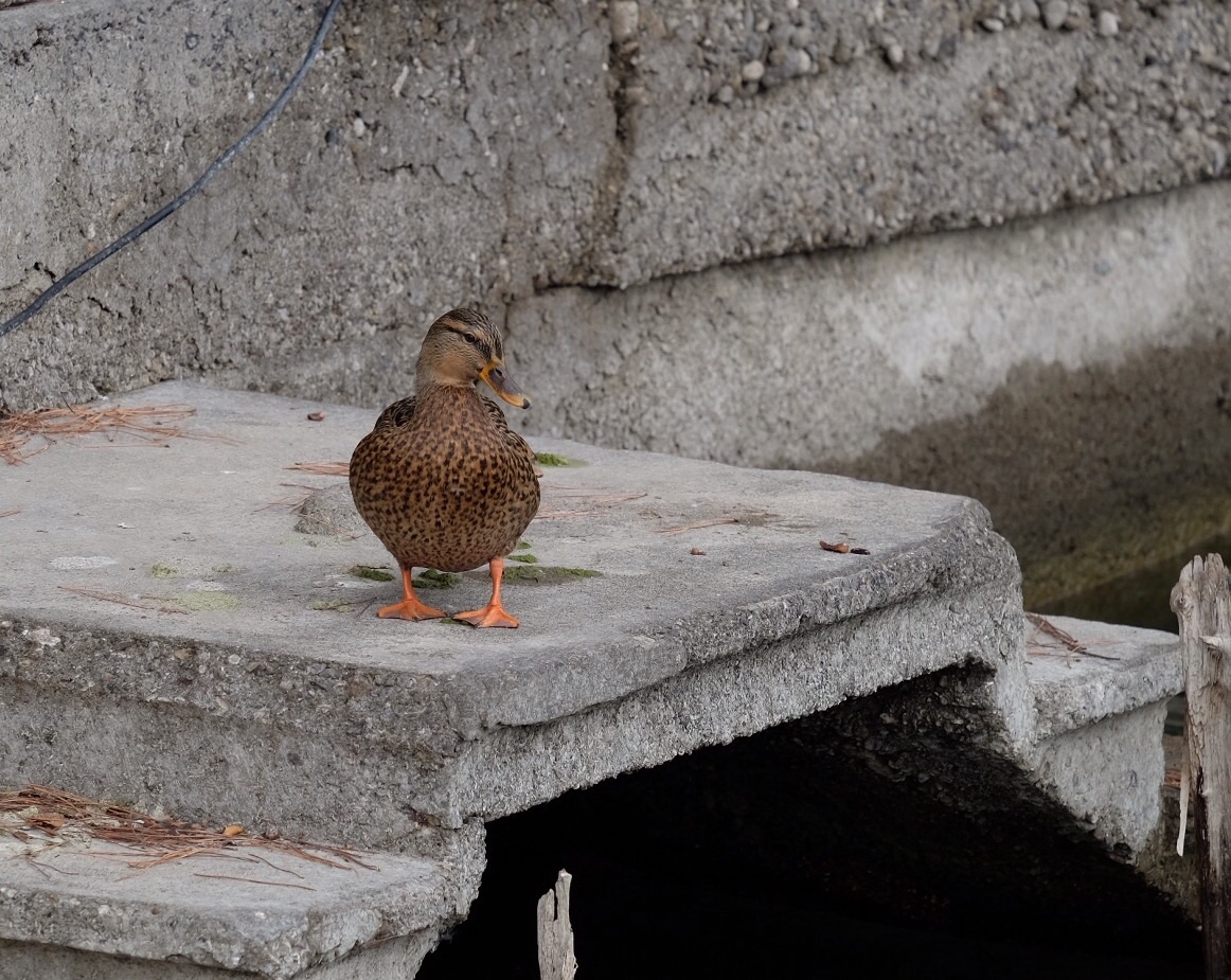 Better alone than .....