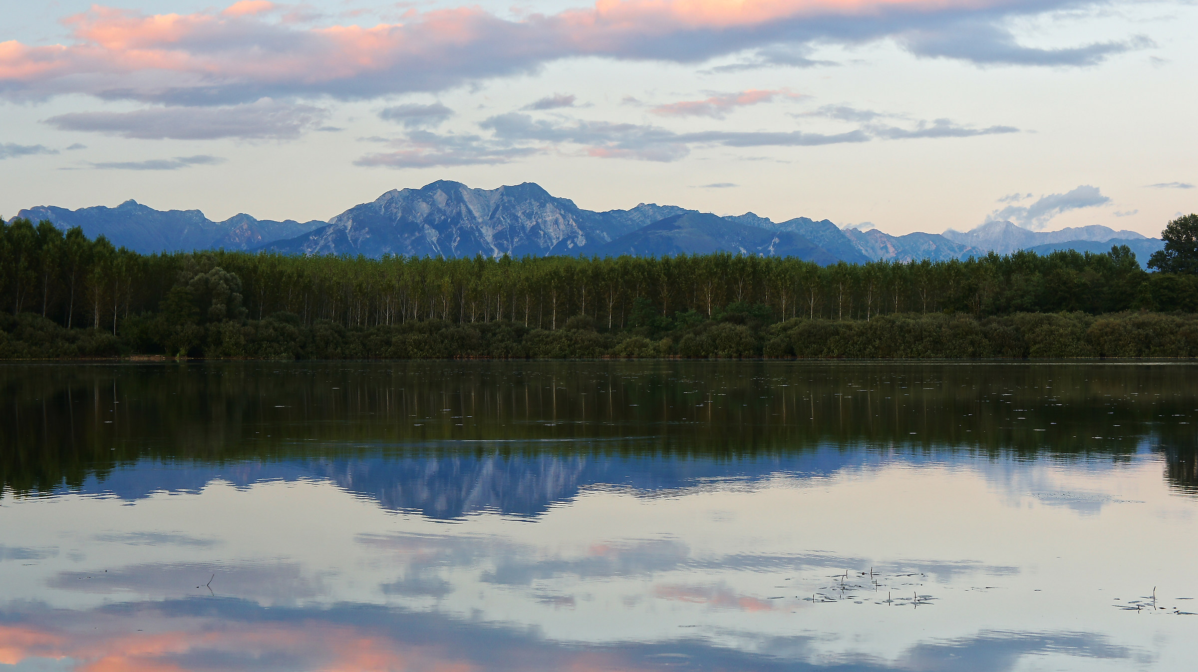 Alberi, Montagne, Riflessi