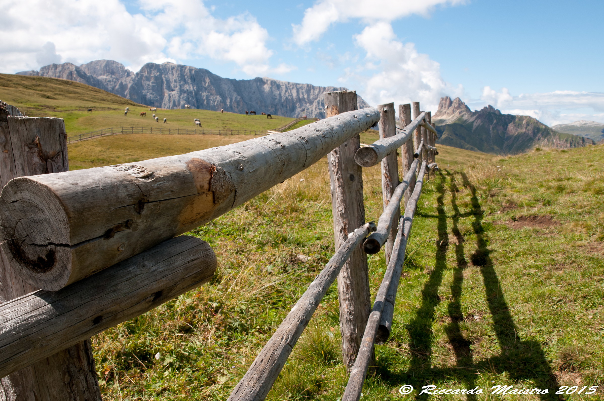 Dove mi porti... non so.....