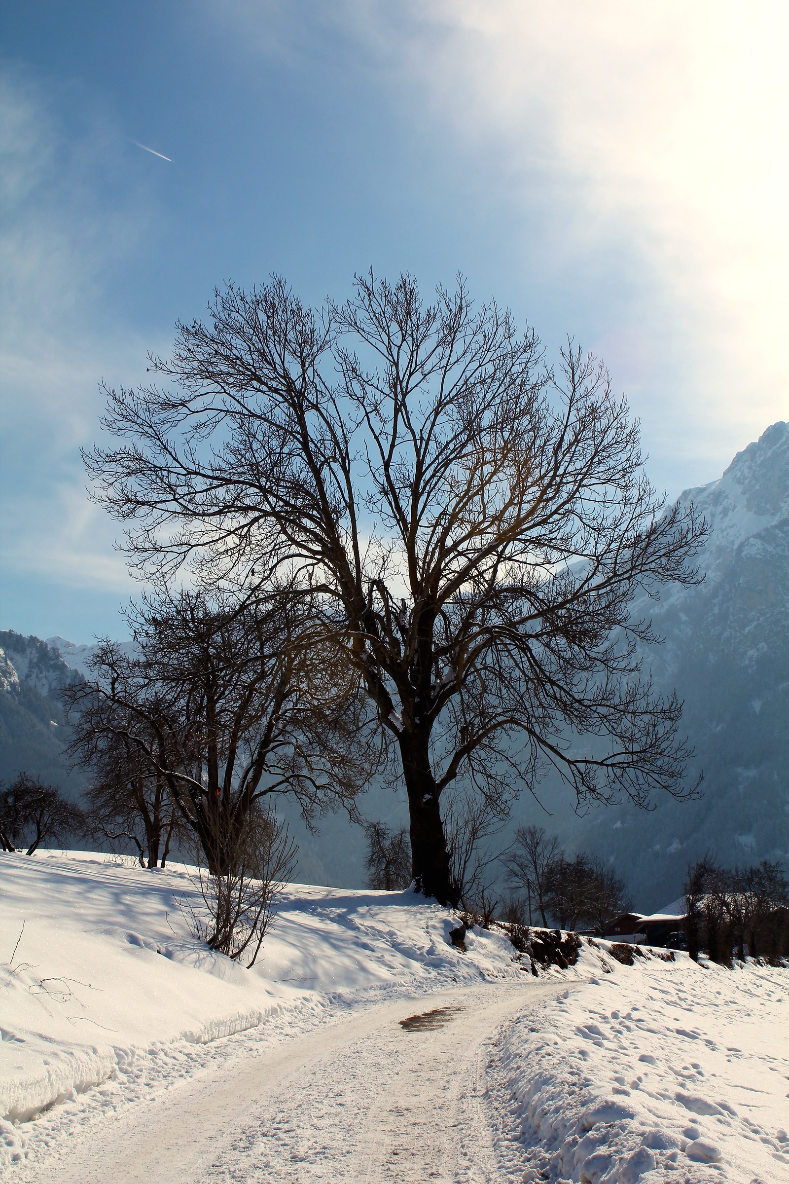 Mountain road Castelrotto