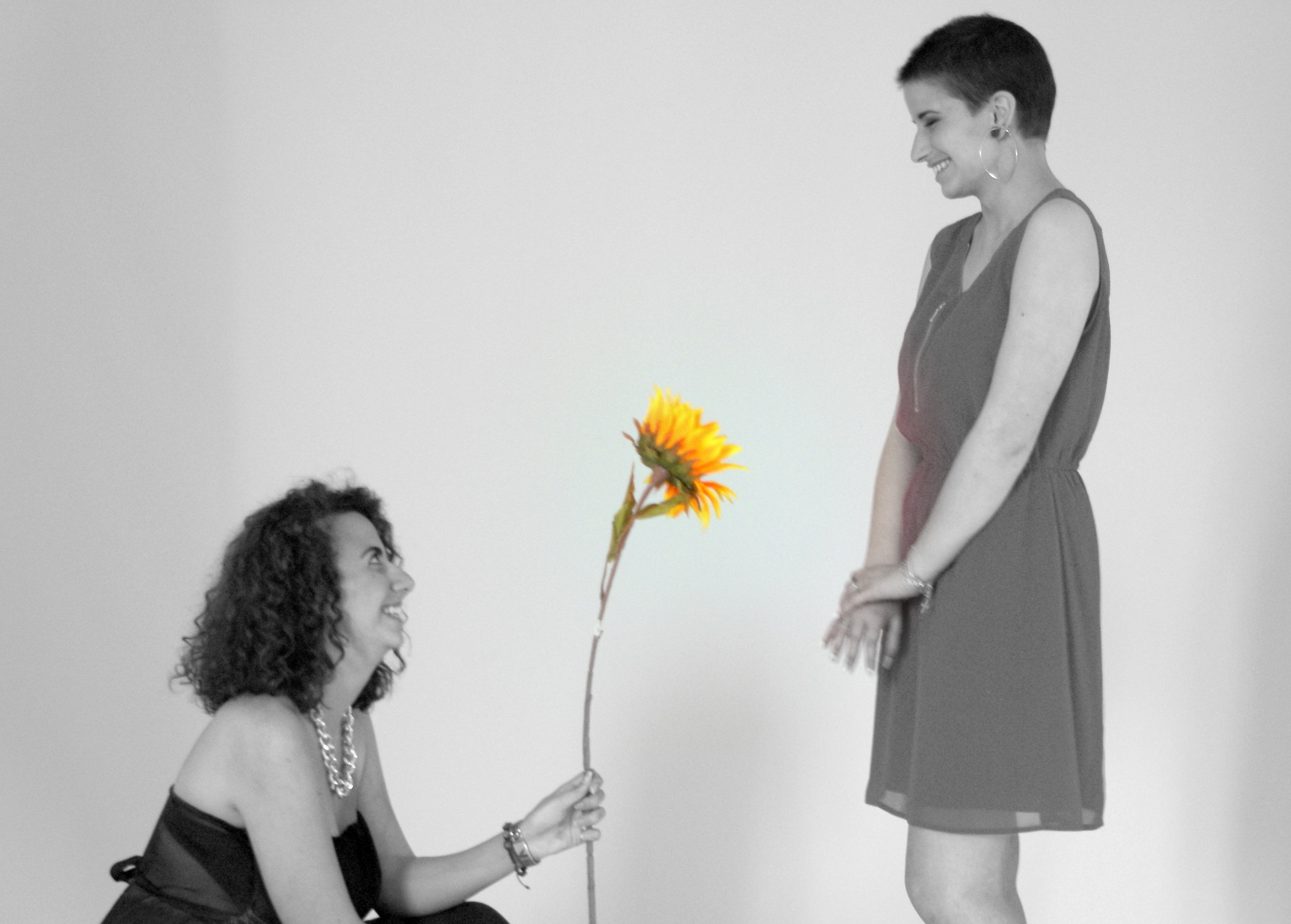 will you sunflower me?