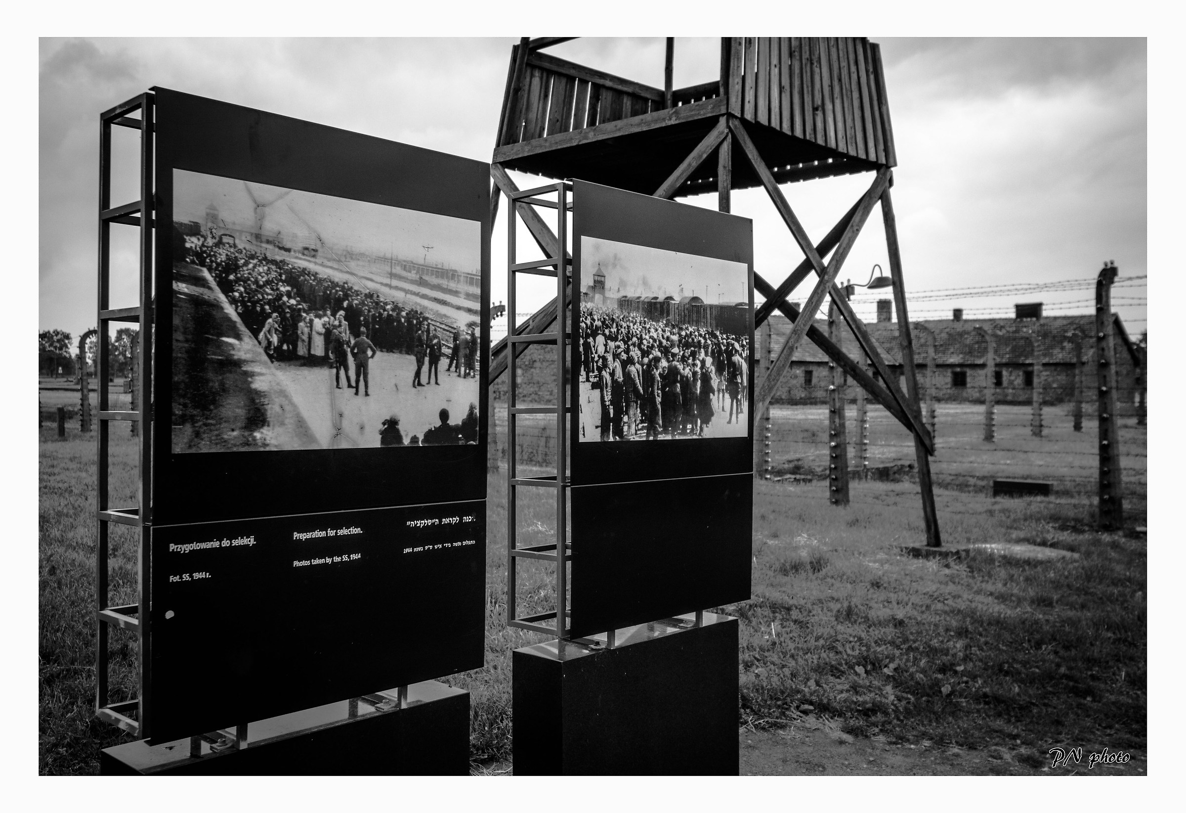 Birkenau1