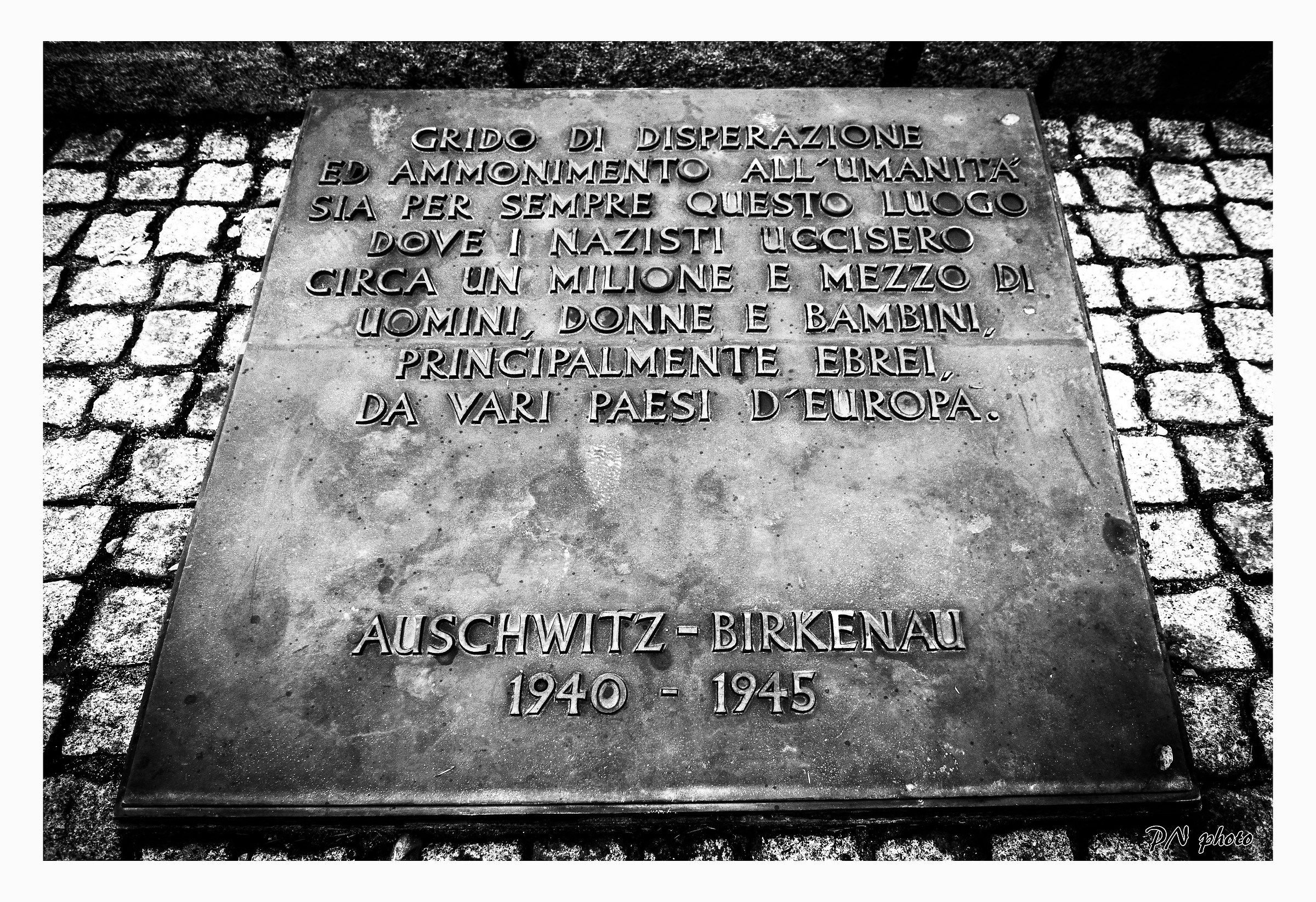 Birkenau2
