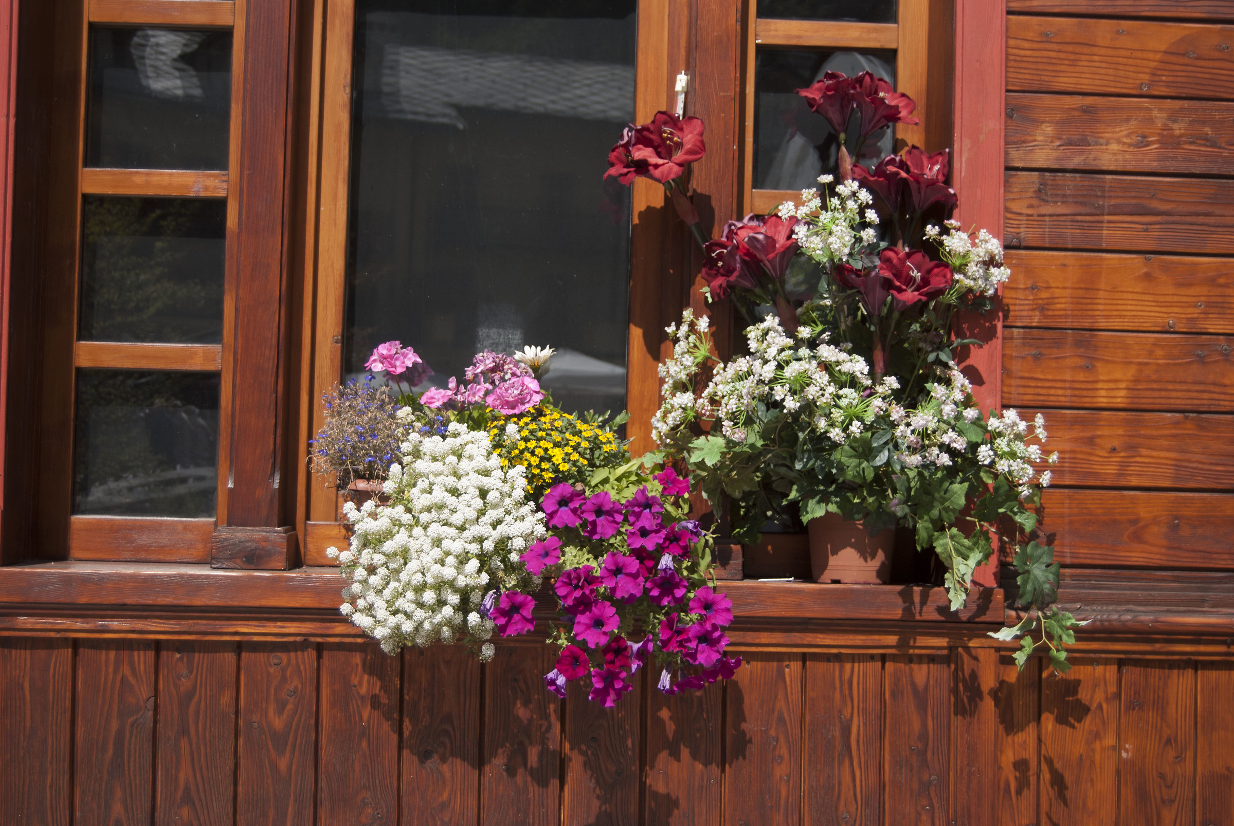 Fantasia di colori a Courmayeur