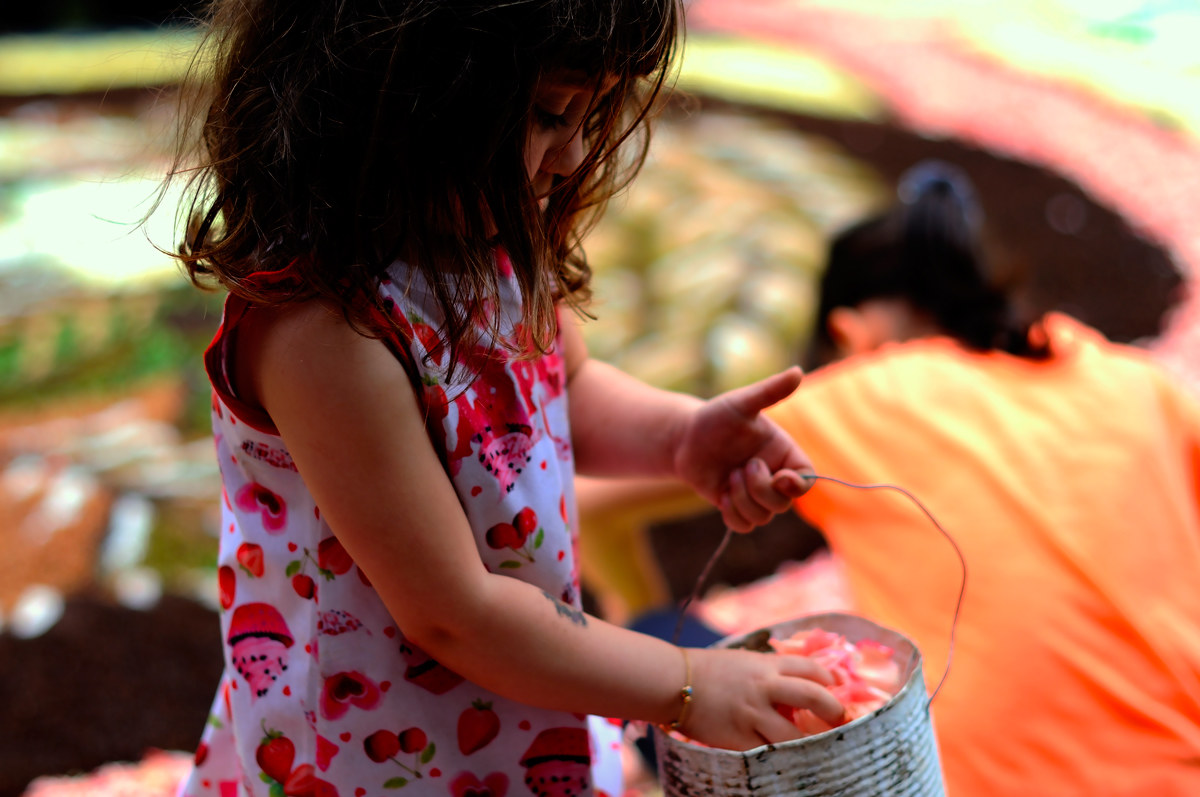 La bellezza è nei piccoli gesti - Genzano 20150614