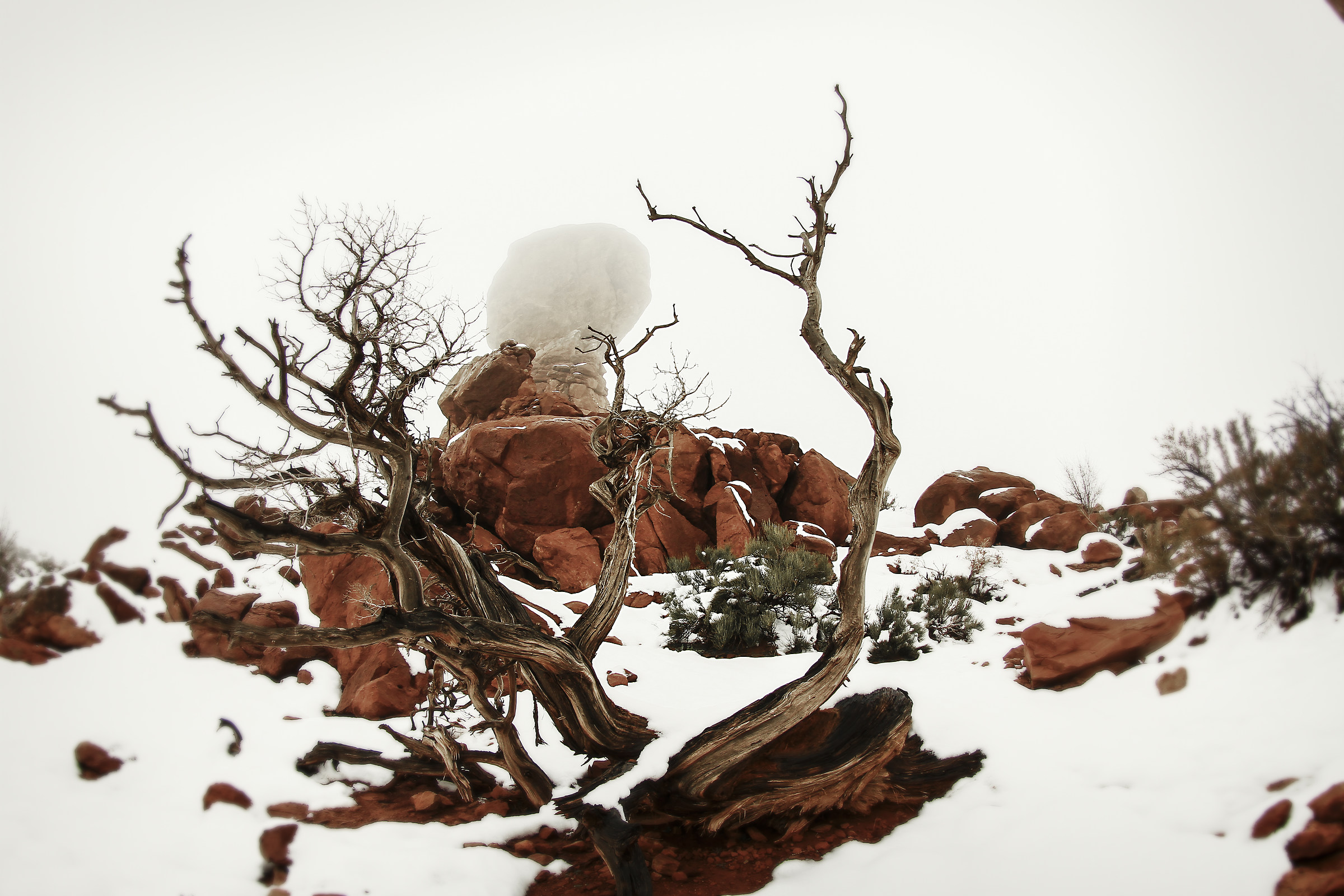 Arches National Park