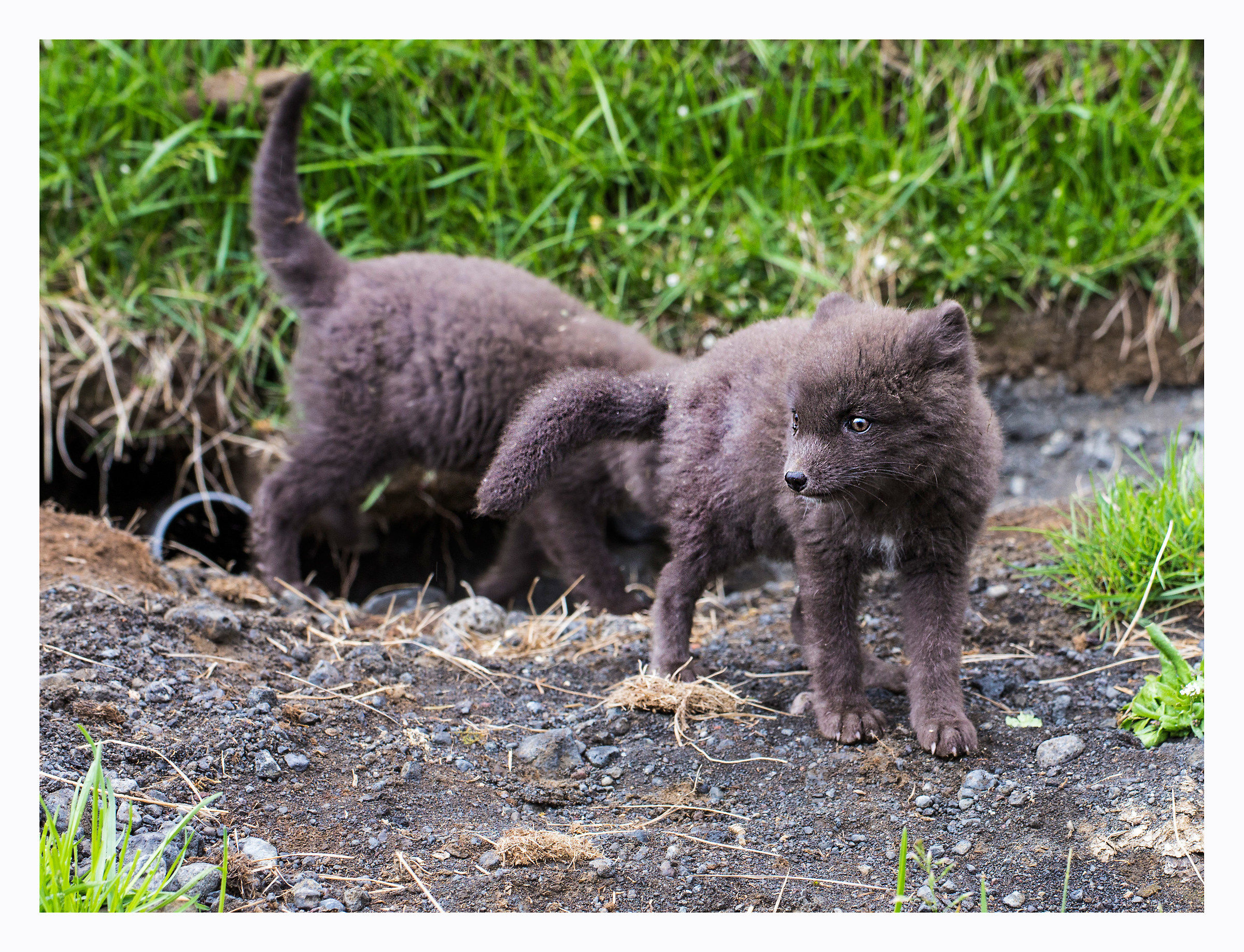 Alla scoperta di un mondo nuovo.