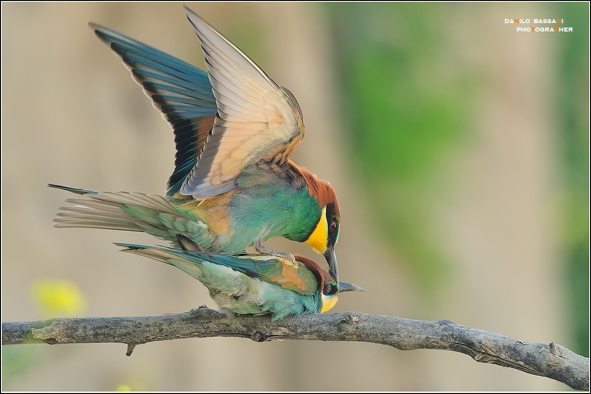 Intimacy '...........