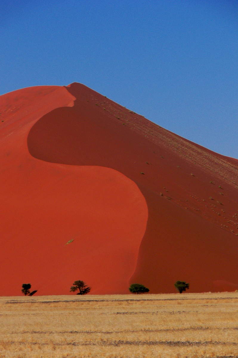 Le dune di Sossusvlei