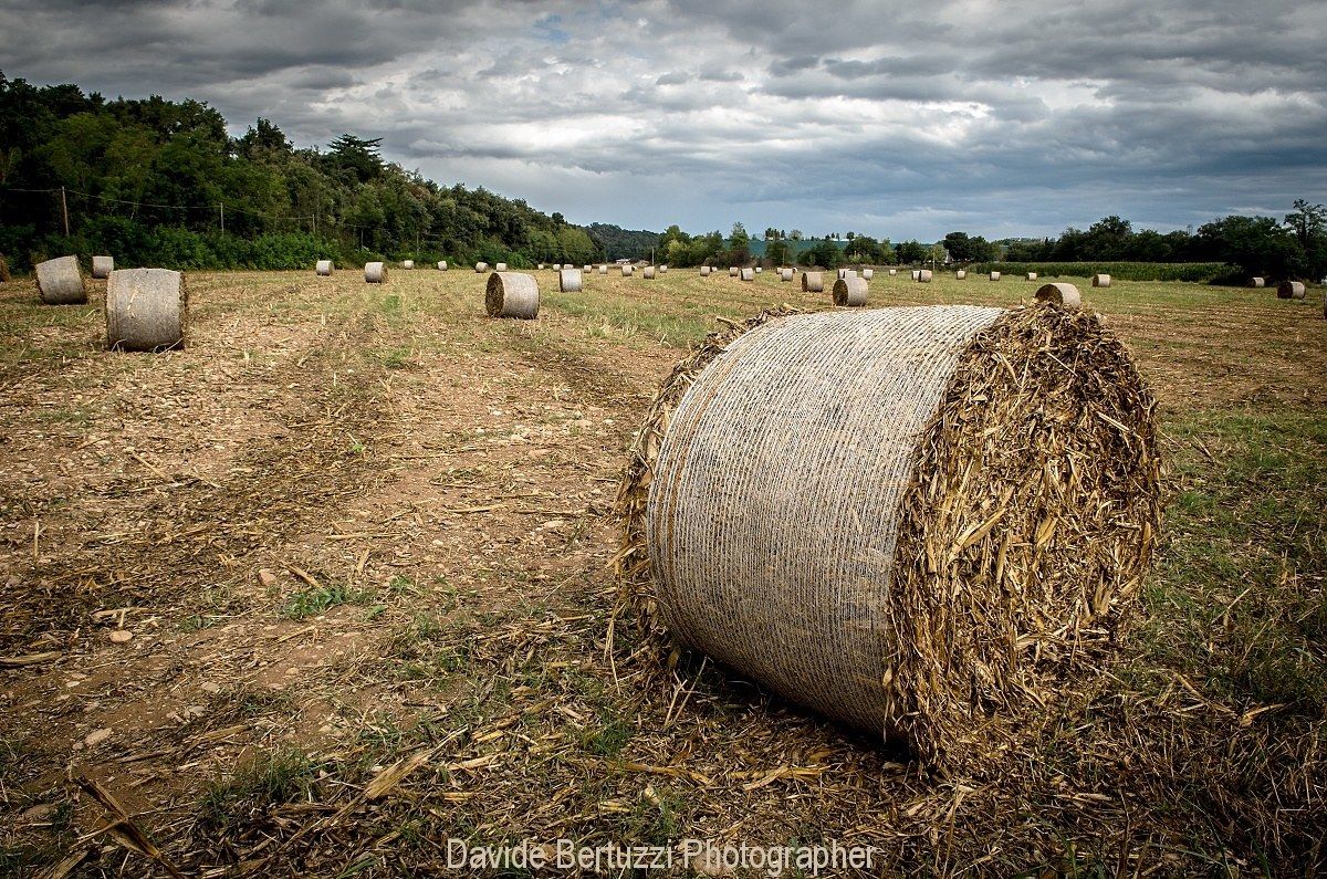 Hay bales