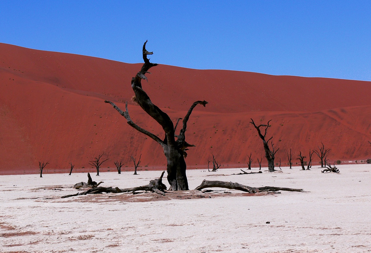 Sossusvlei