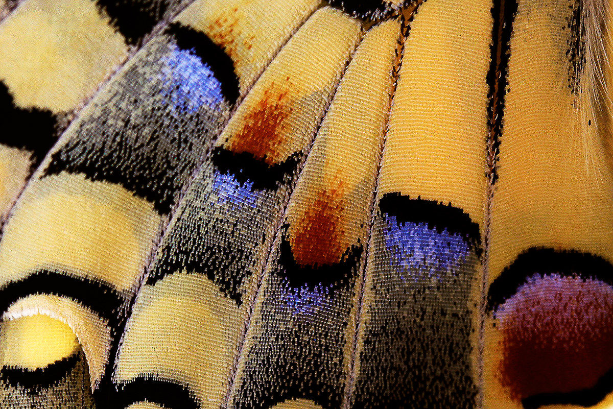 Silk steering wheel 2