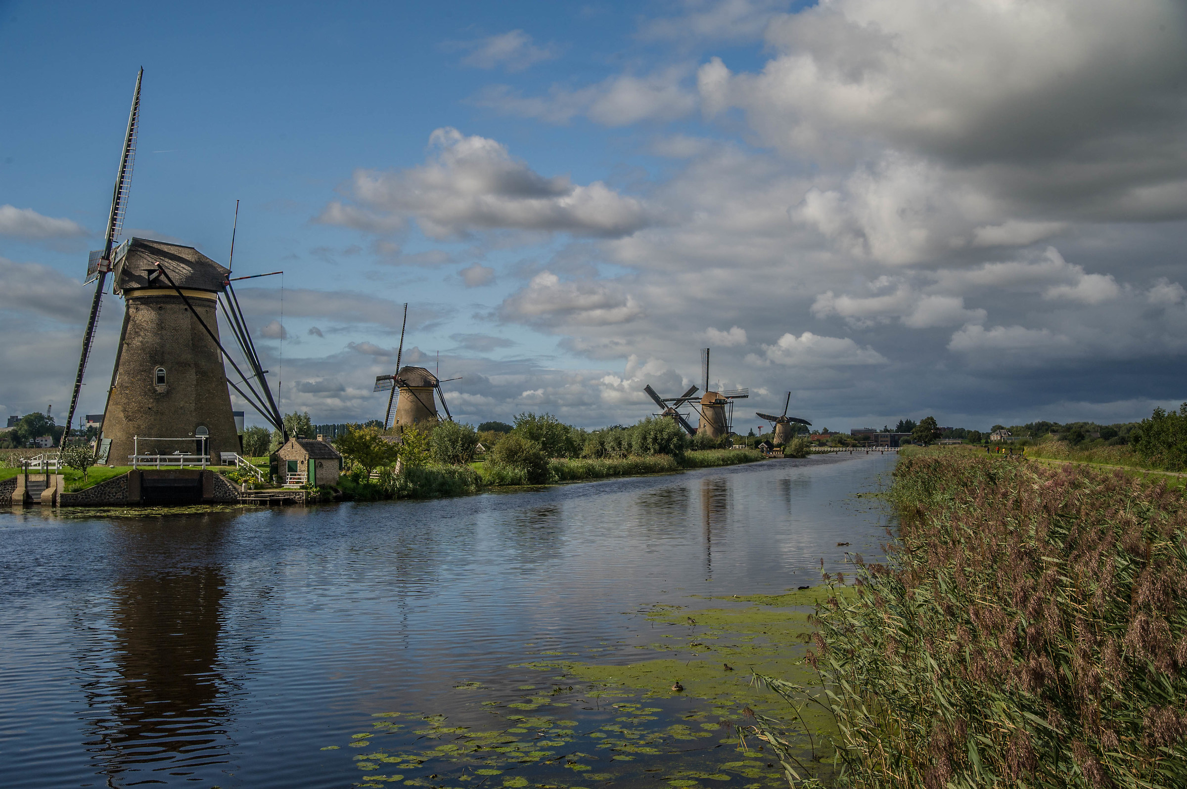kinderdijk olanda