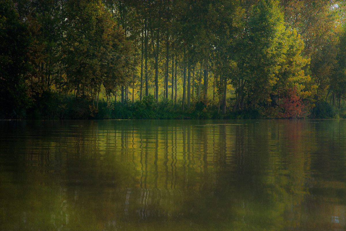 Reflections on the lake shore