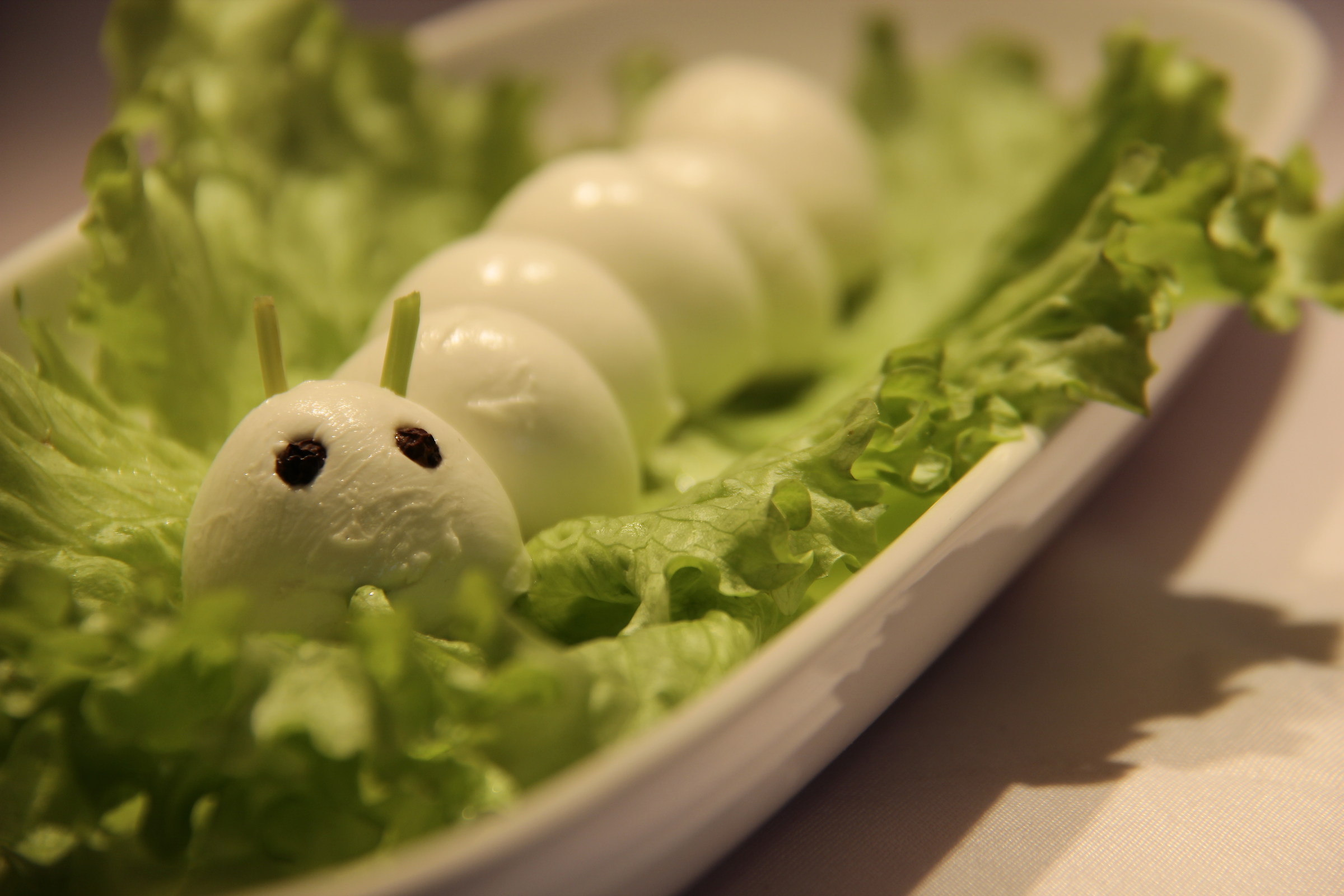 The bruc ... zzarella