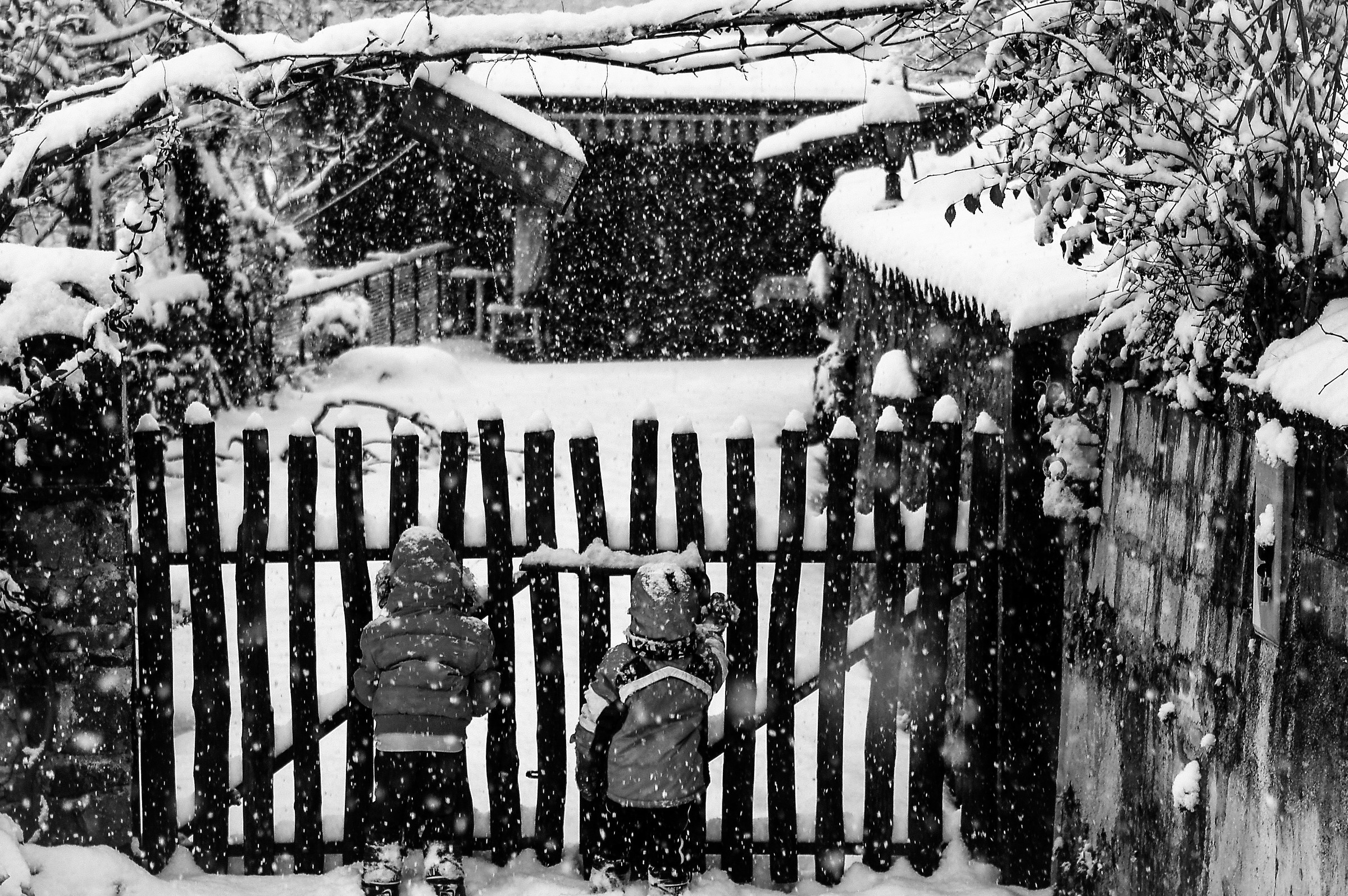 Ammirando la dama bianca