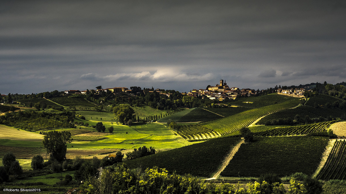 Vignale Monferrato - Carpe Diem