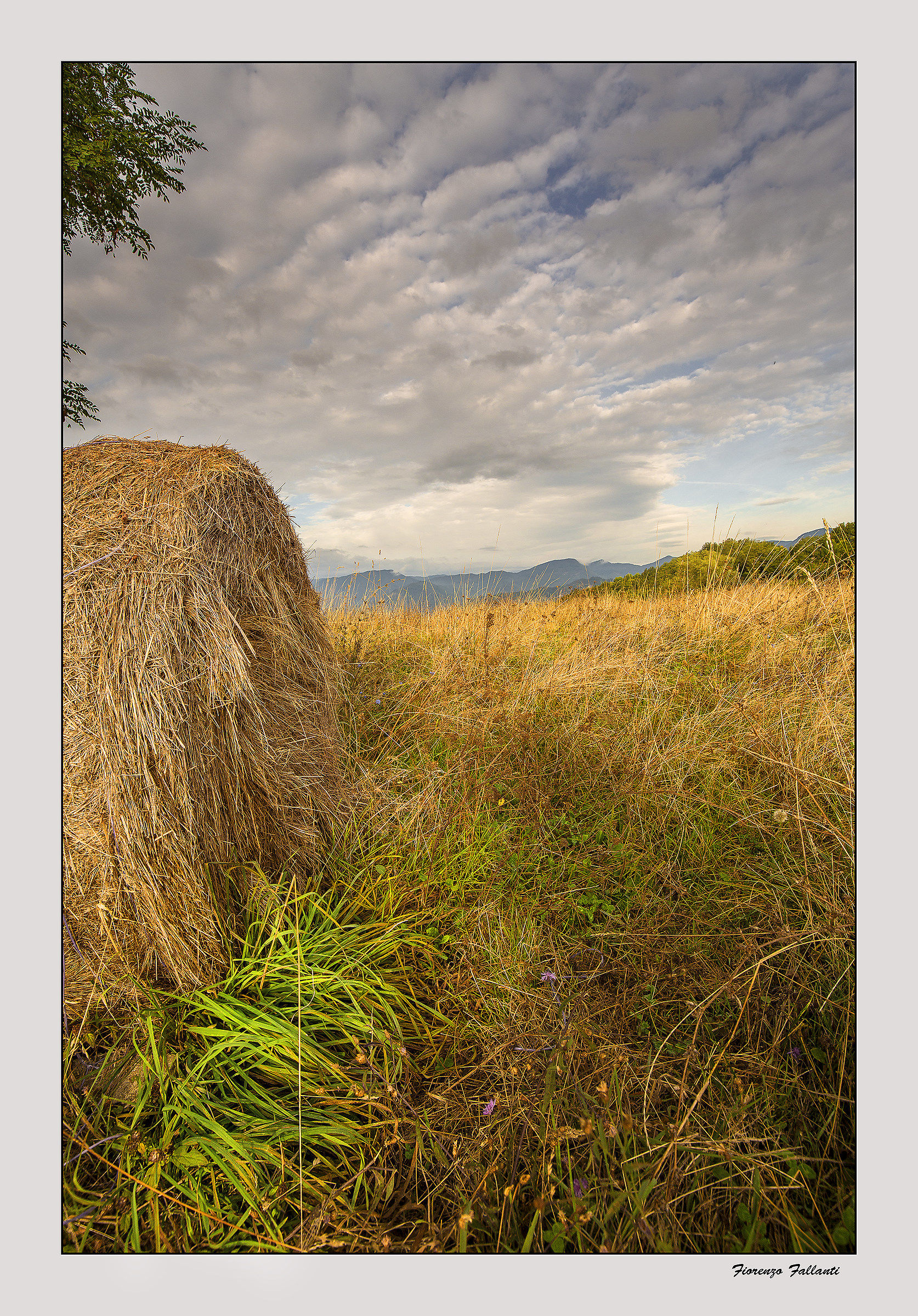 ...Alpeggio dell'appenino 1...