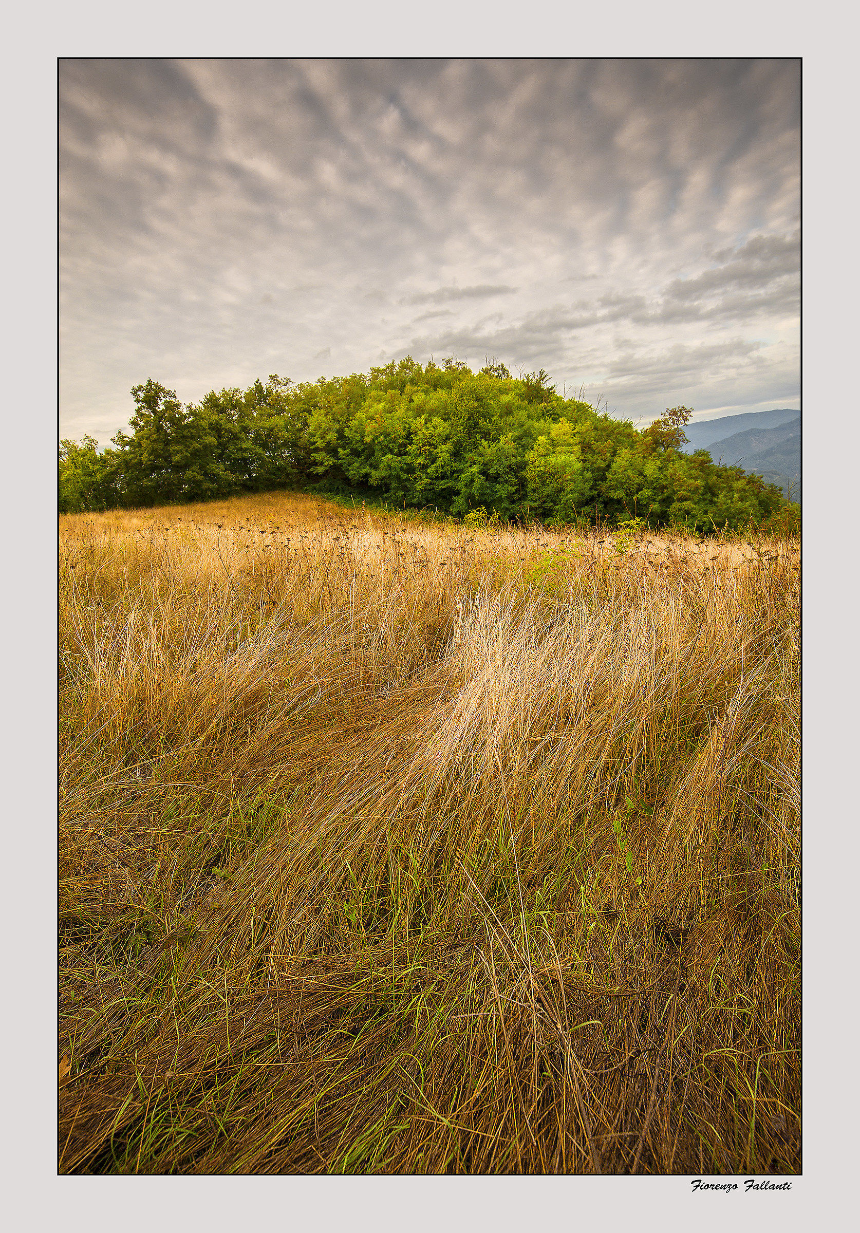 ...Alpeggio dell'appenino 2