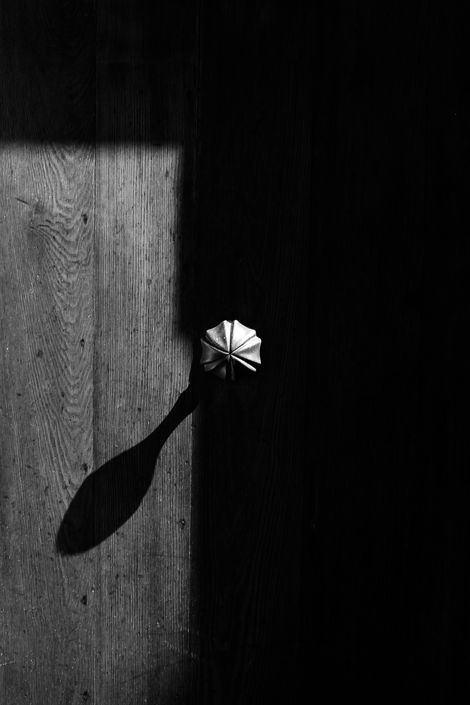 Il pomello e la sua ombra.