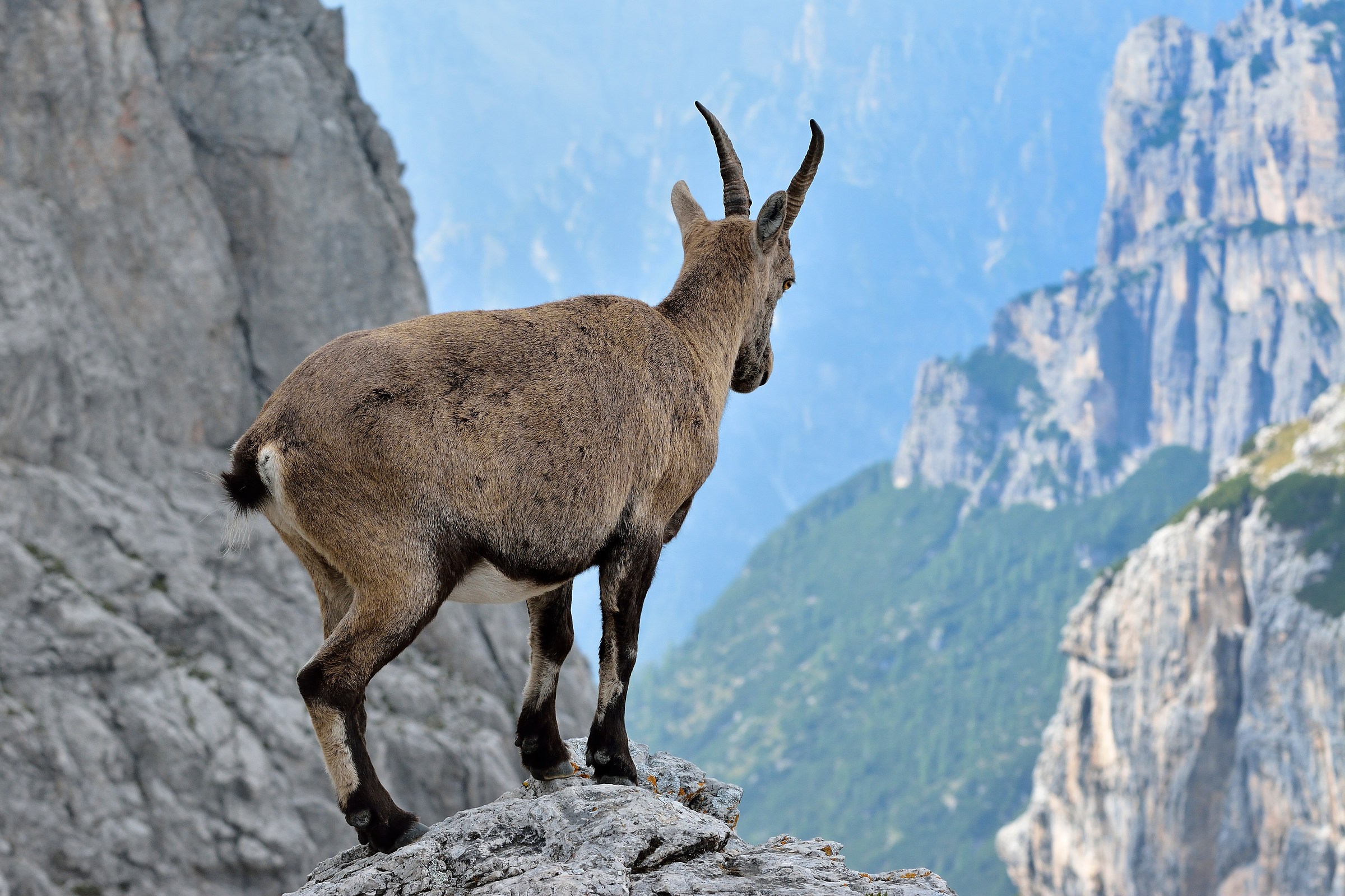 Watching the Dolomites ..