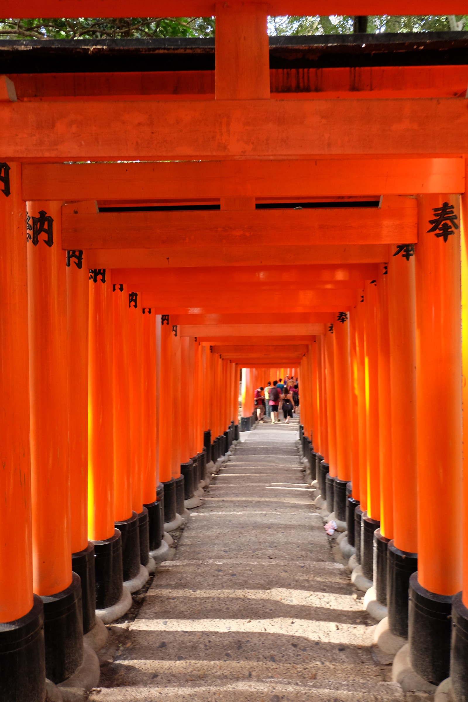 Torii in Fujimi INARY