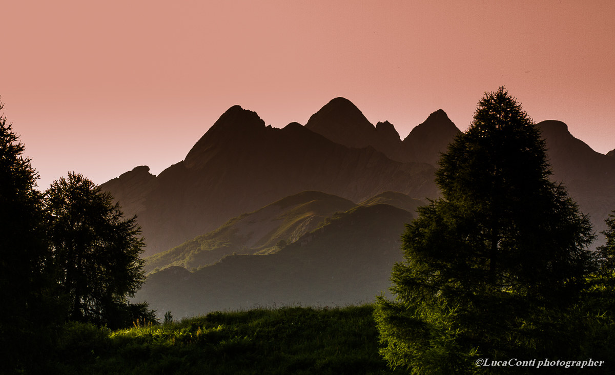 A fresh summer morning (Valsassina)