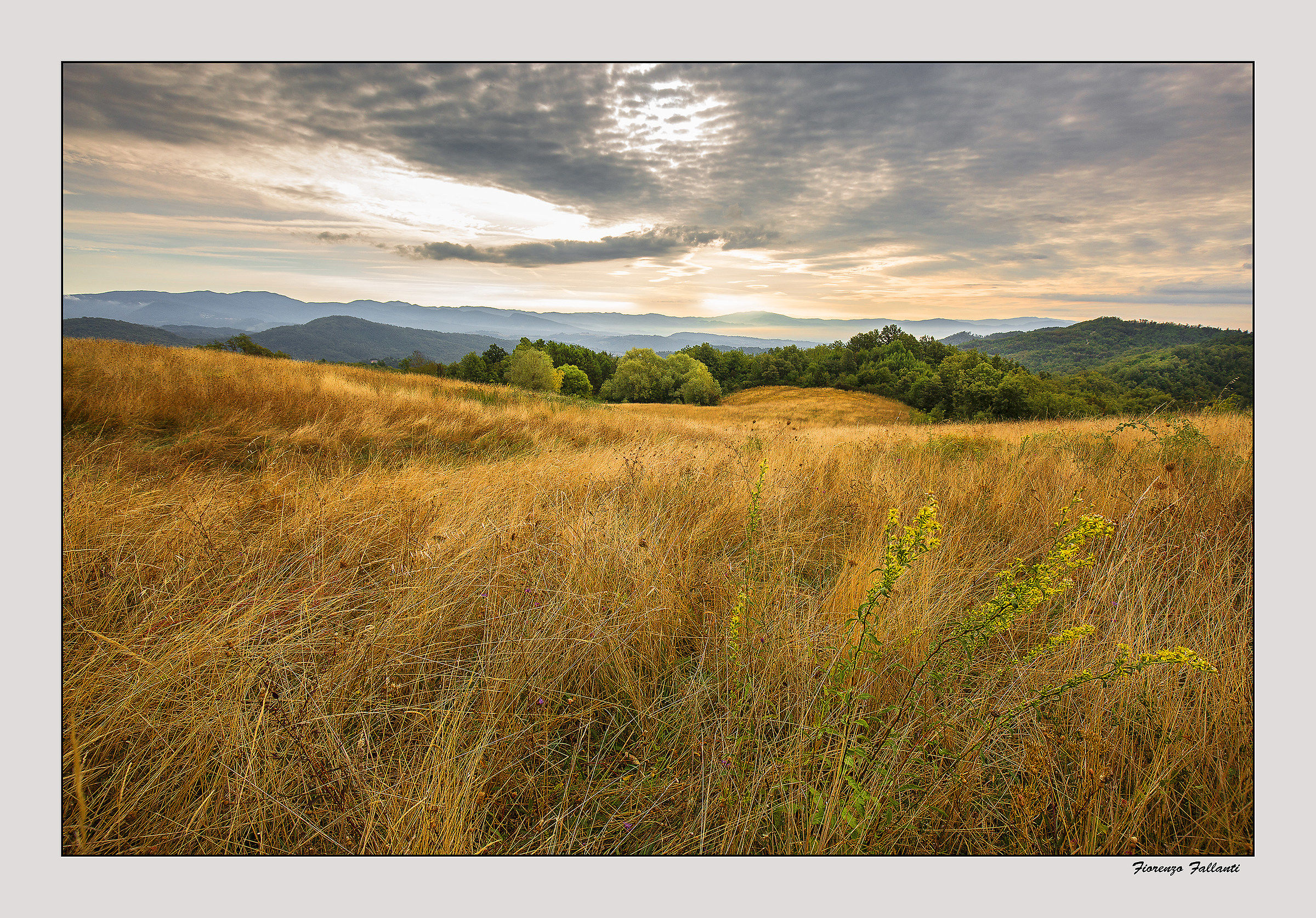 ... Alpeggio dell0appennino 3