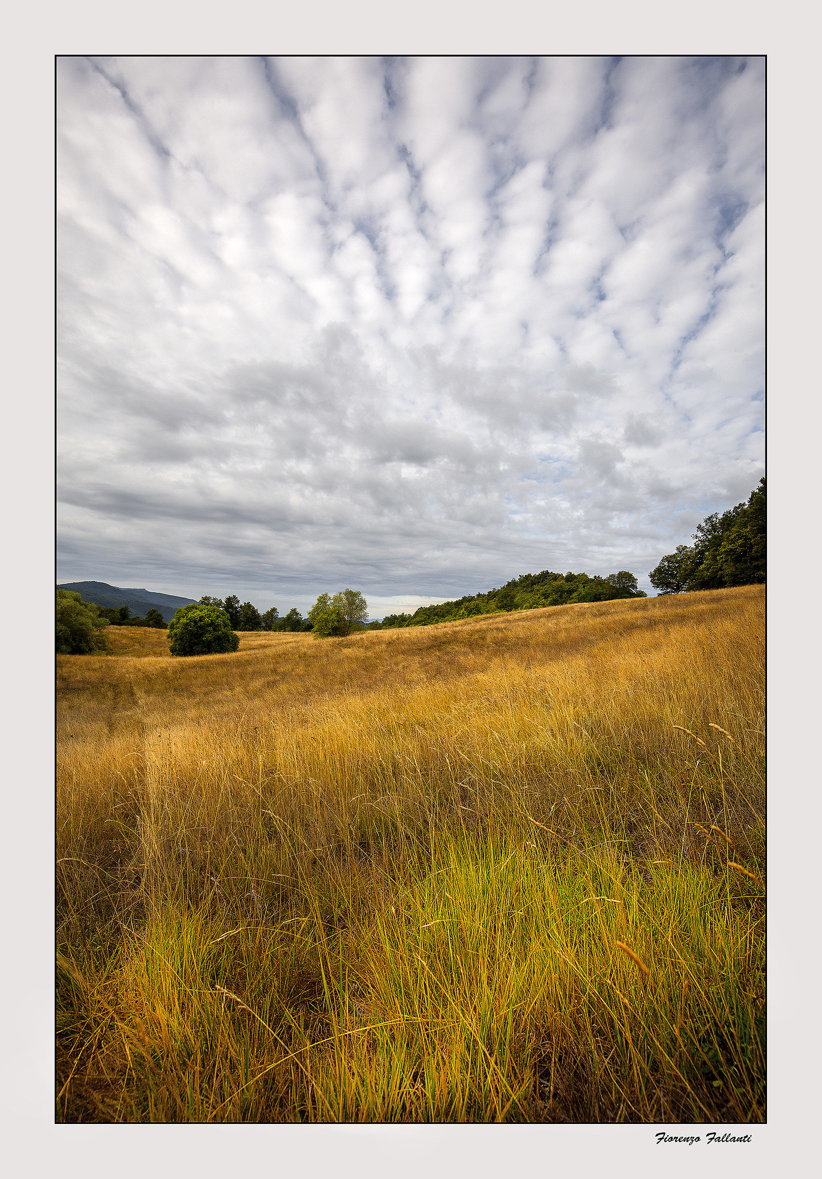 ,,, Alpeggio dell'appennino 4