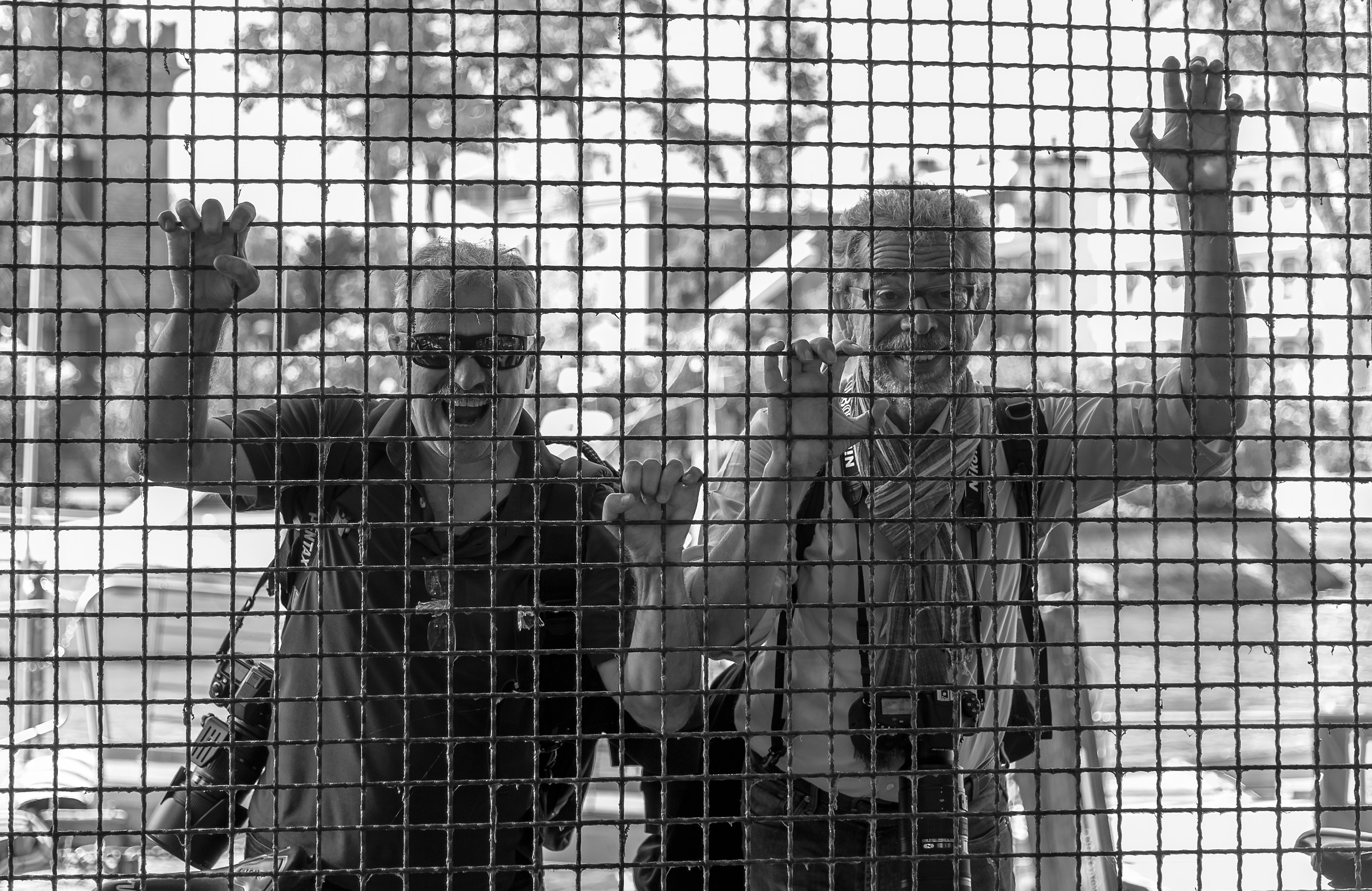 Photographers caged ......