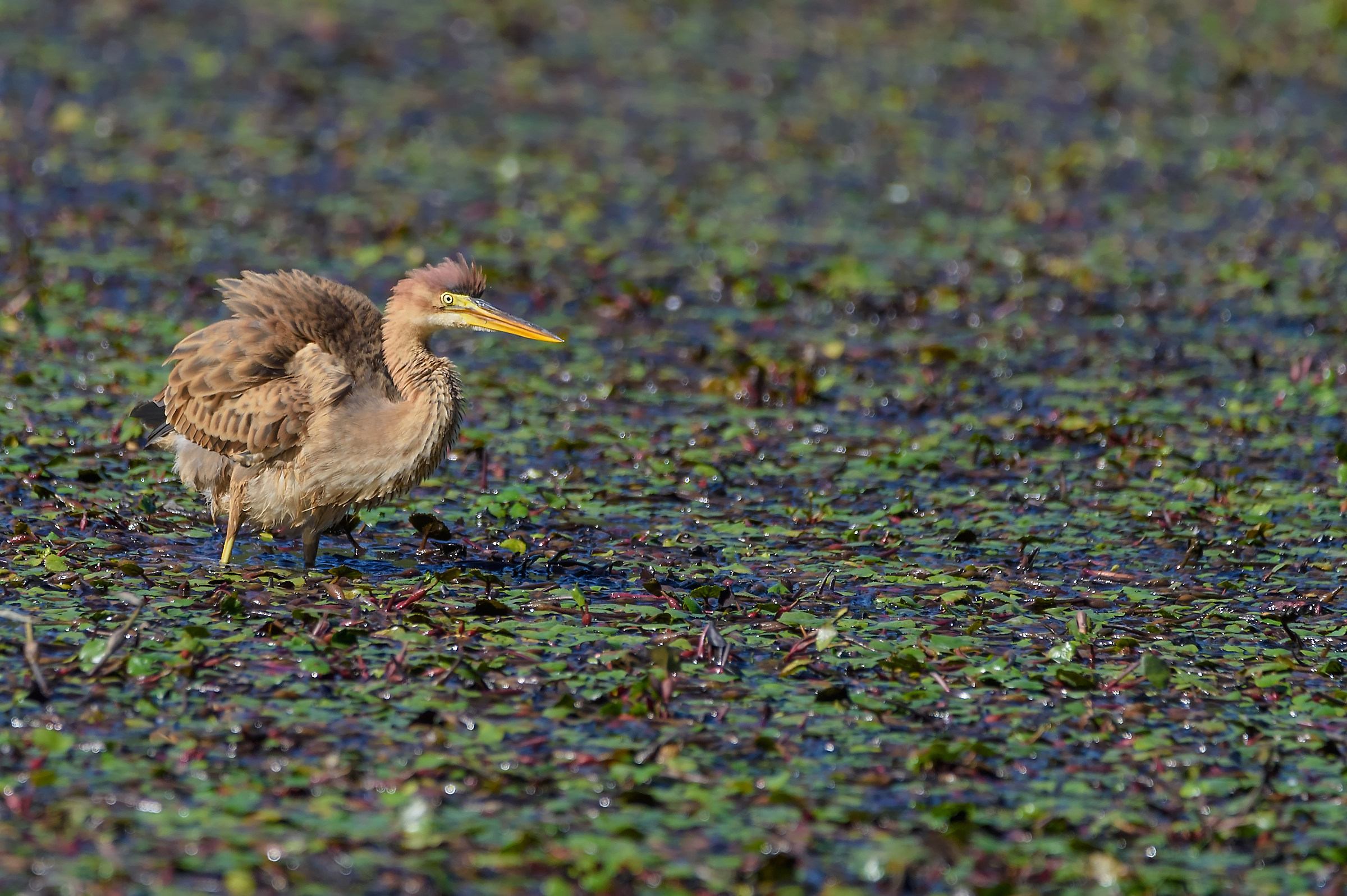 Brrr che freddo!!!!!