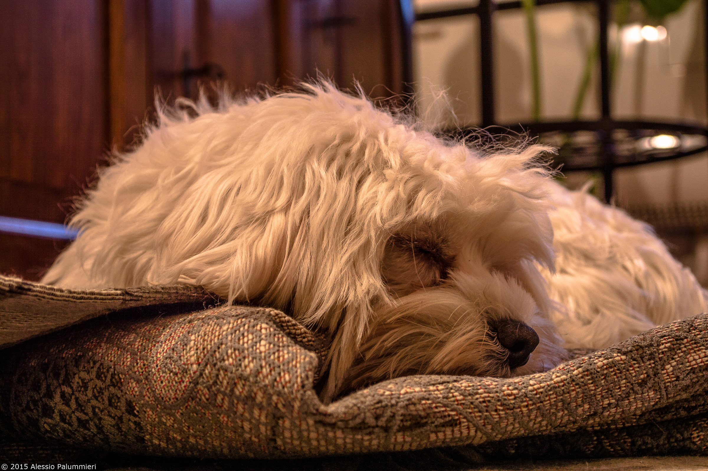 ..lasciatemi rest in peace ..