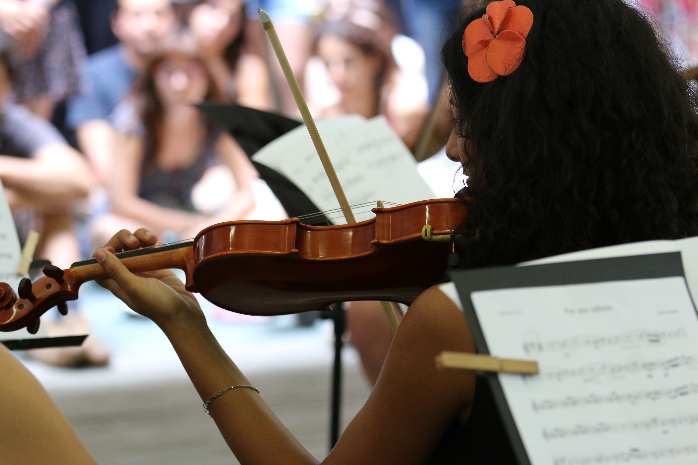 Violin, prbb Orchestra, Barcelona 2015