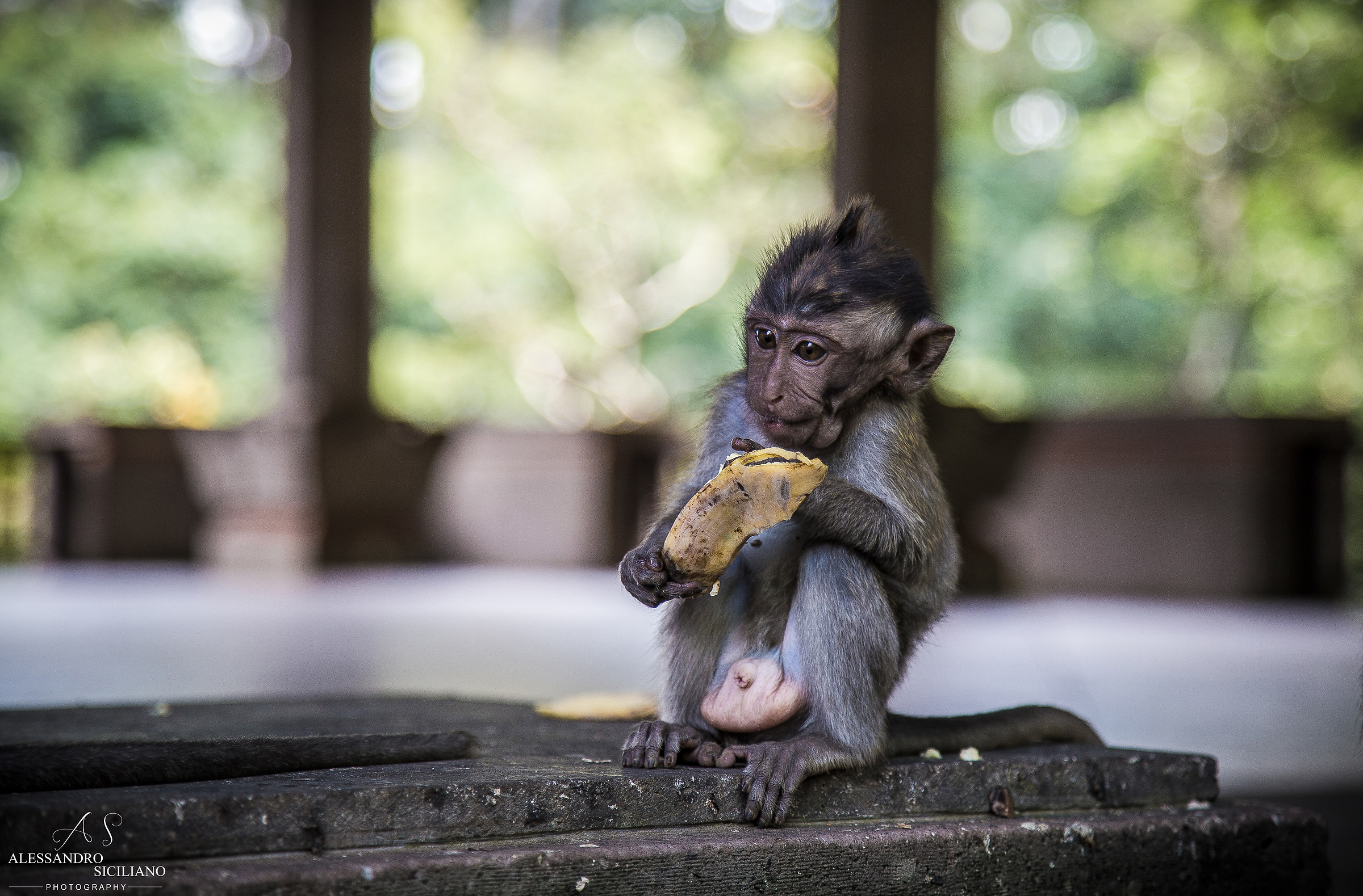 Mi avete lasciato solo..