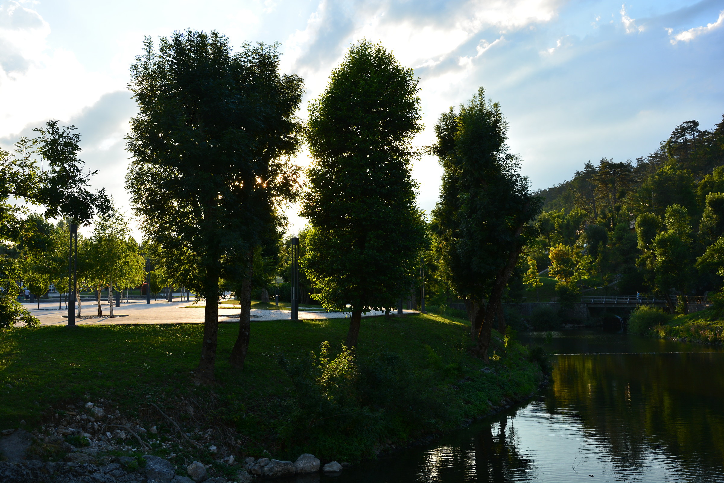 Sunset between trees