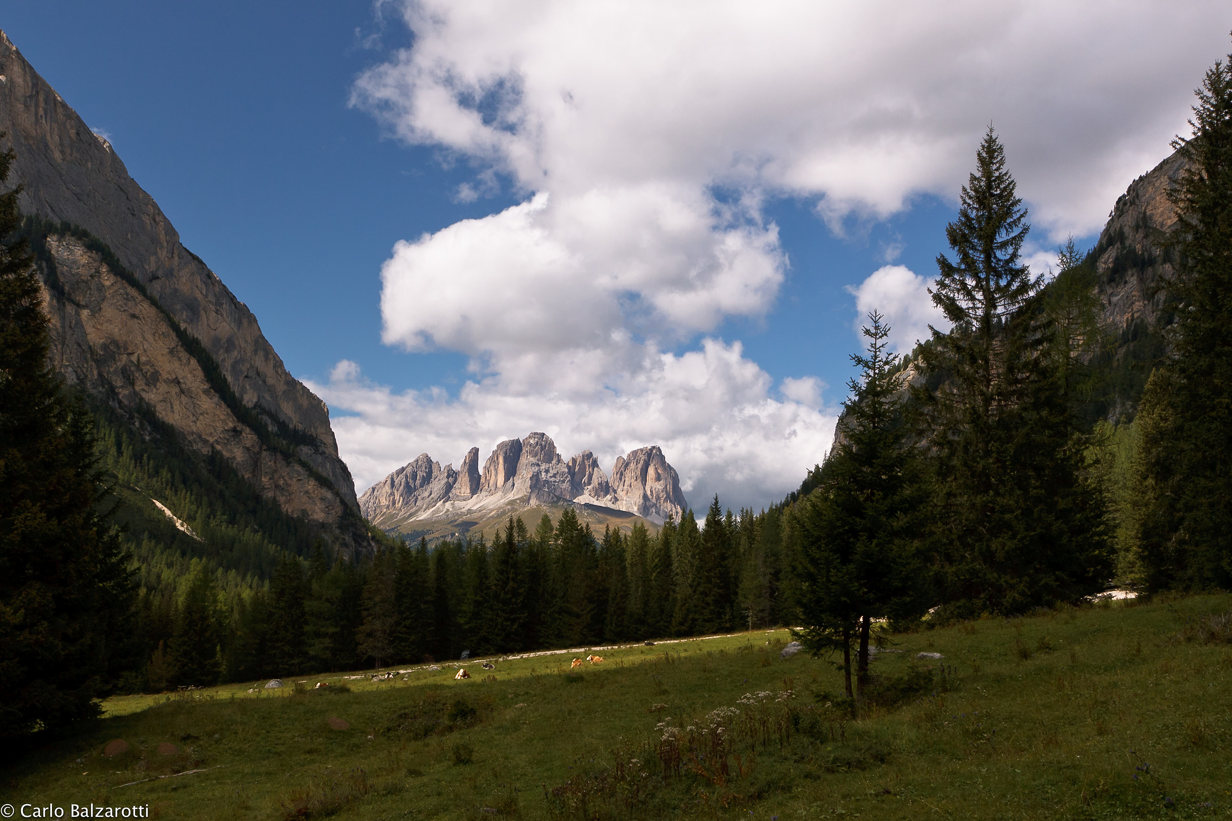 Sassolungo seen from the Val Contrin