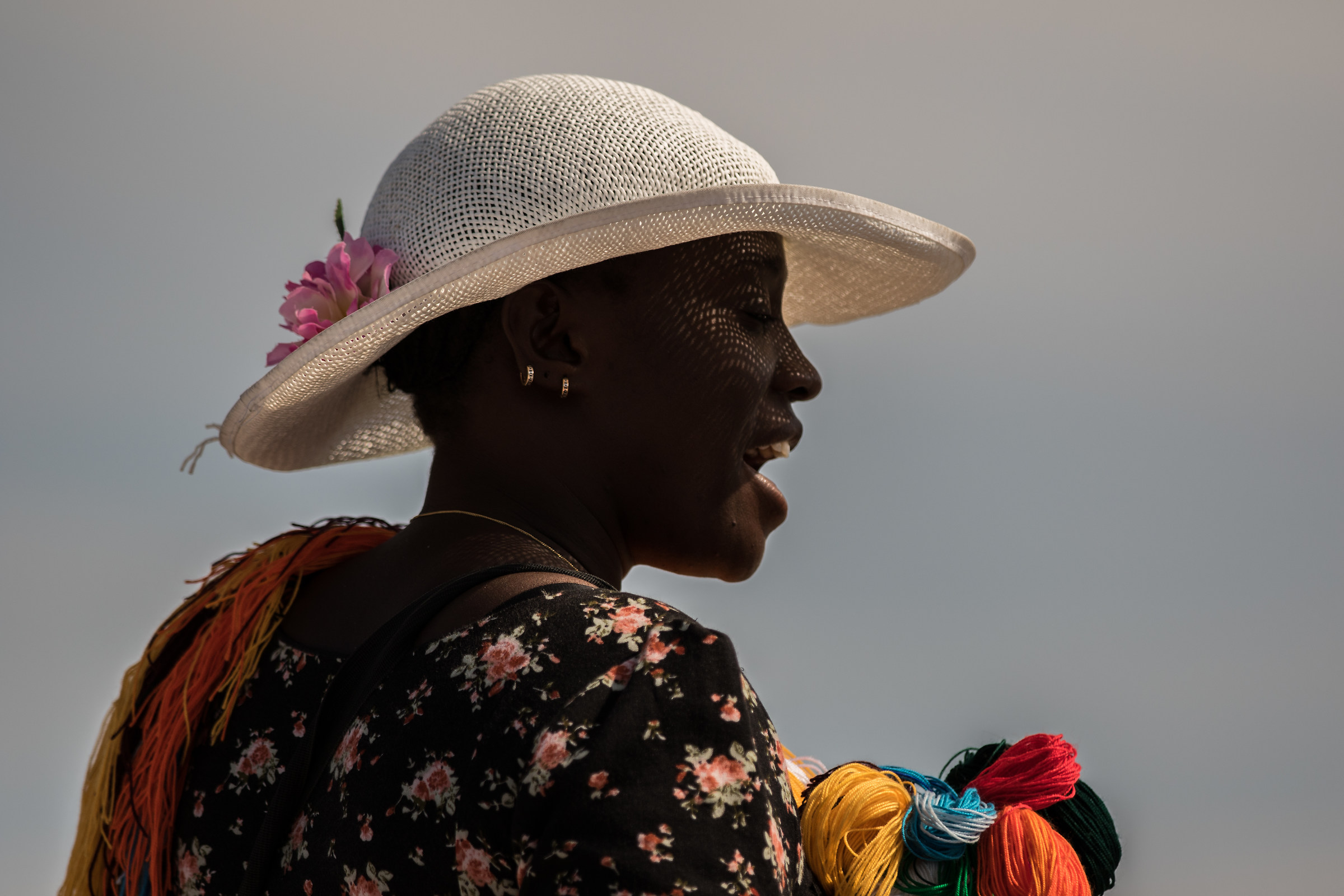 La venditrice ambulante