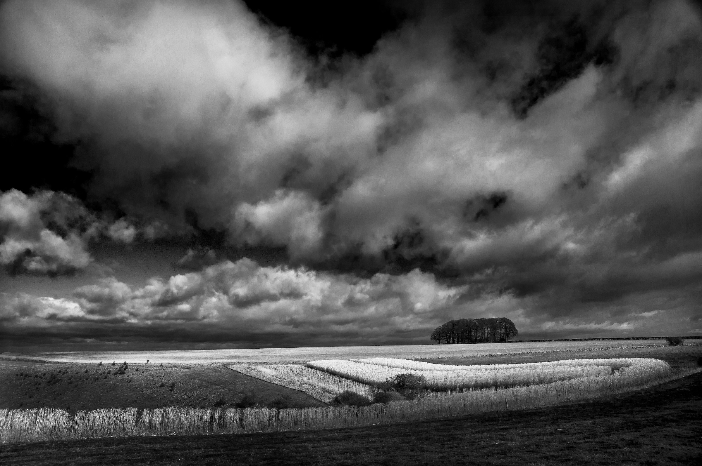 Up on the Ox Drove - Mono