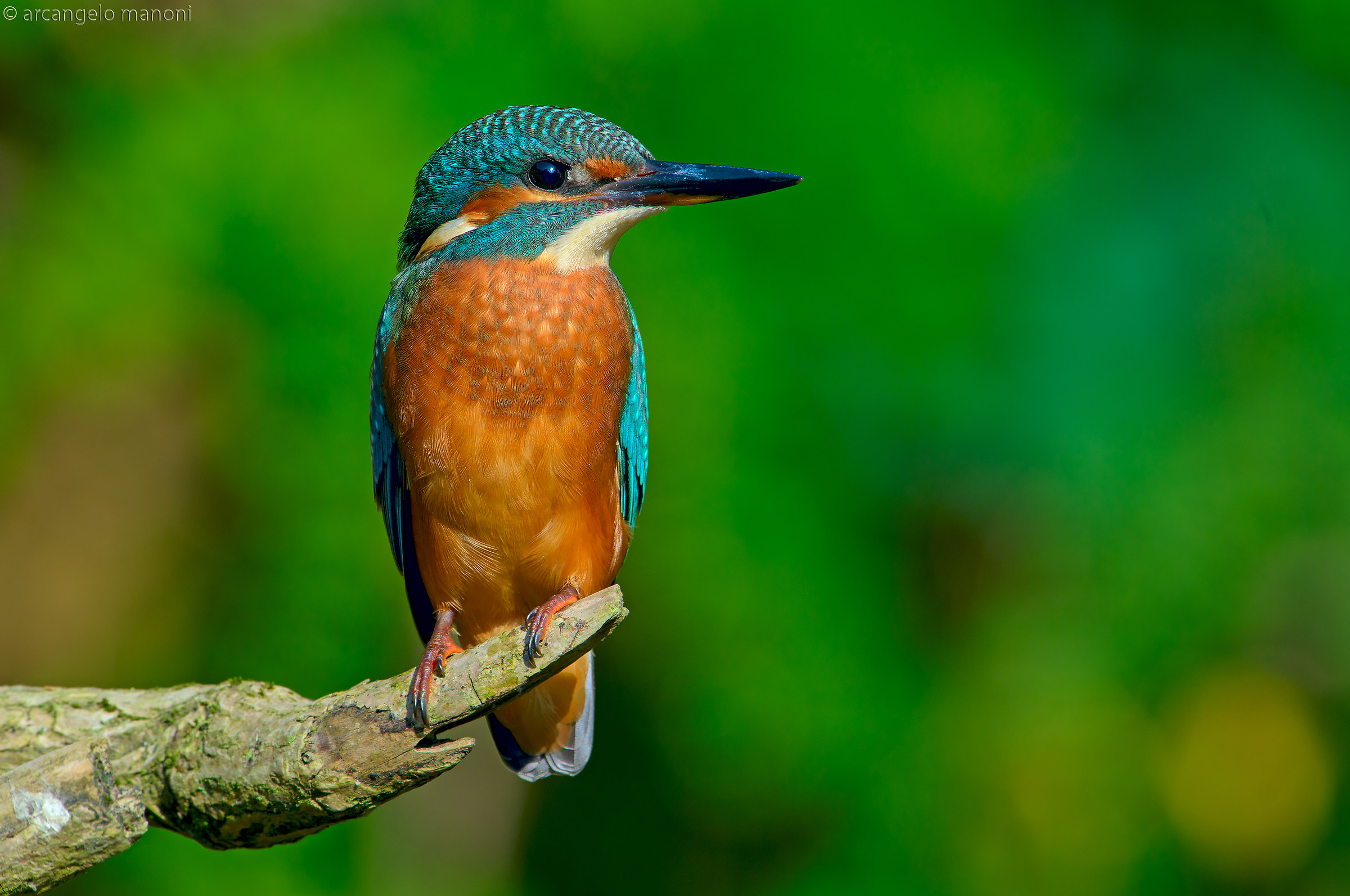 lo sguardo alla verde valle