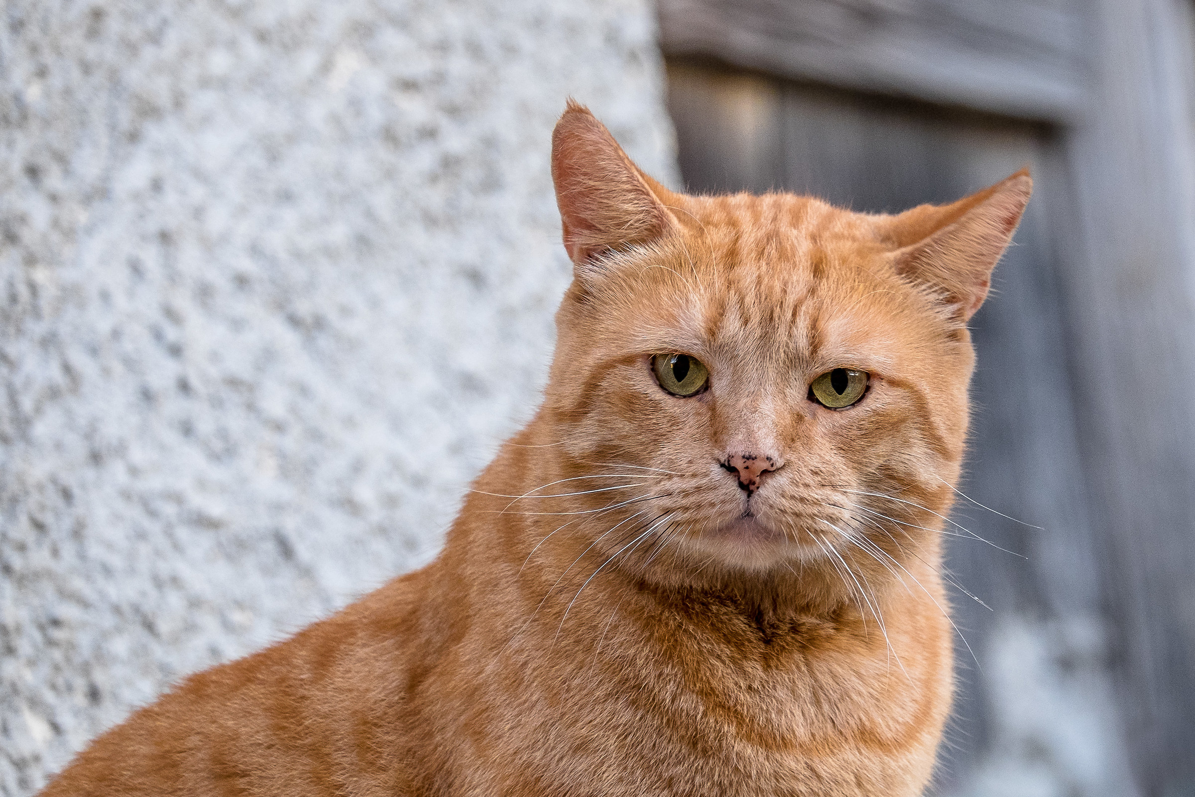 try to understand me .............