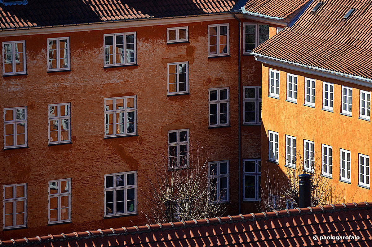 The courtyard of the windows