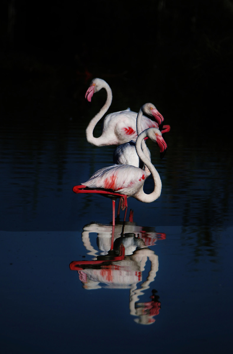 Tre al buio con riflesso