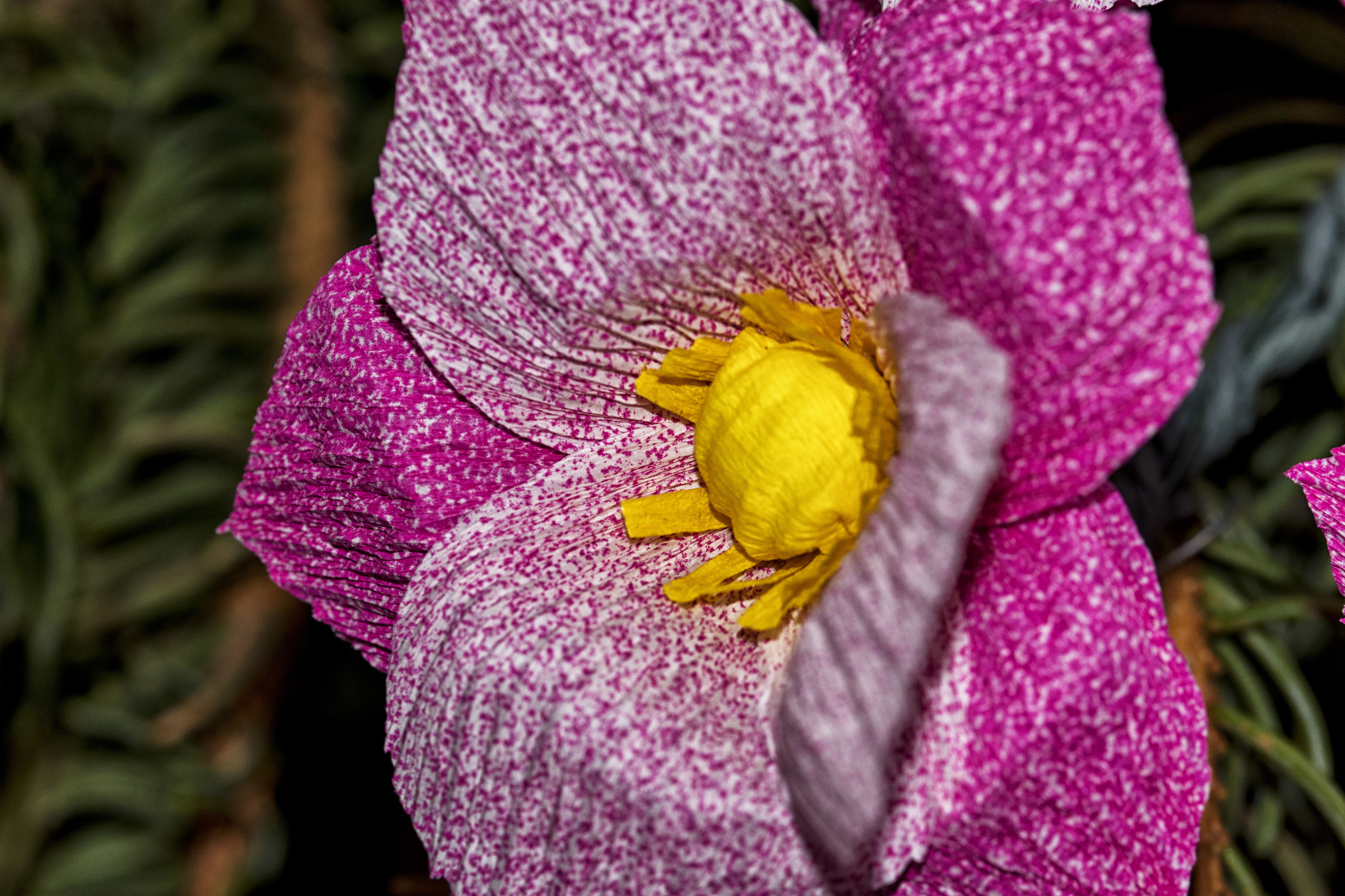 Festa di Santa Croce - Monte Isola