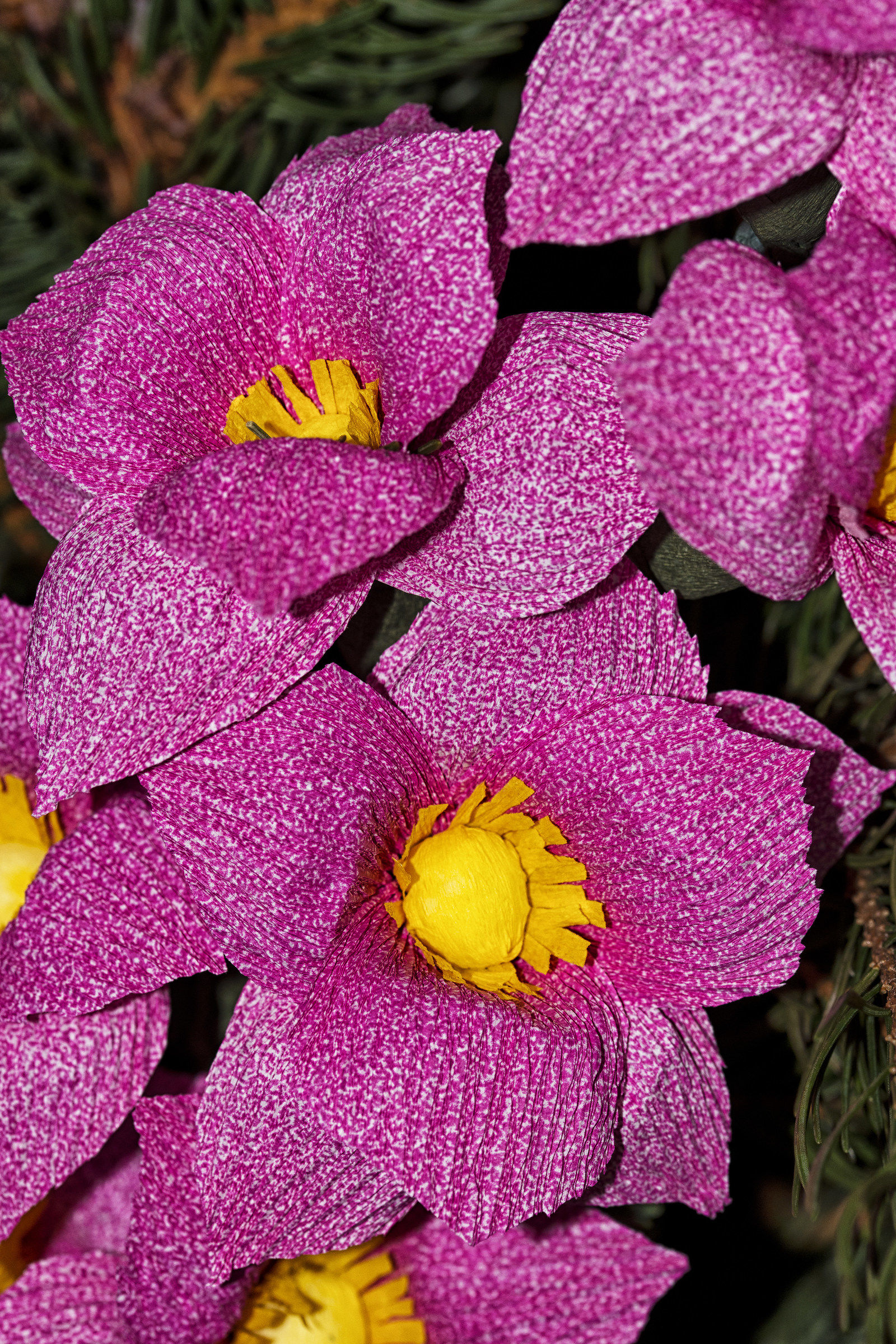 Festa di Santa Croce - Monte Isola