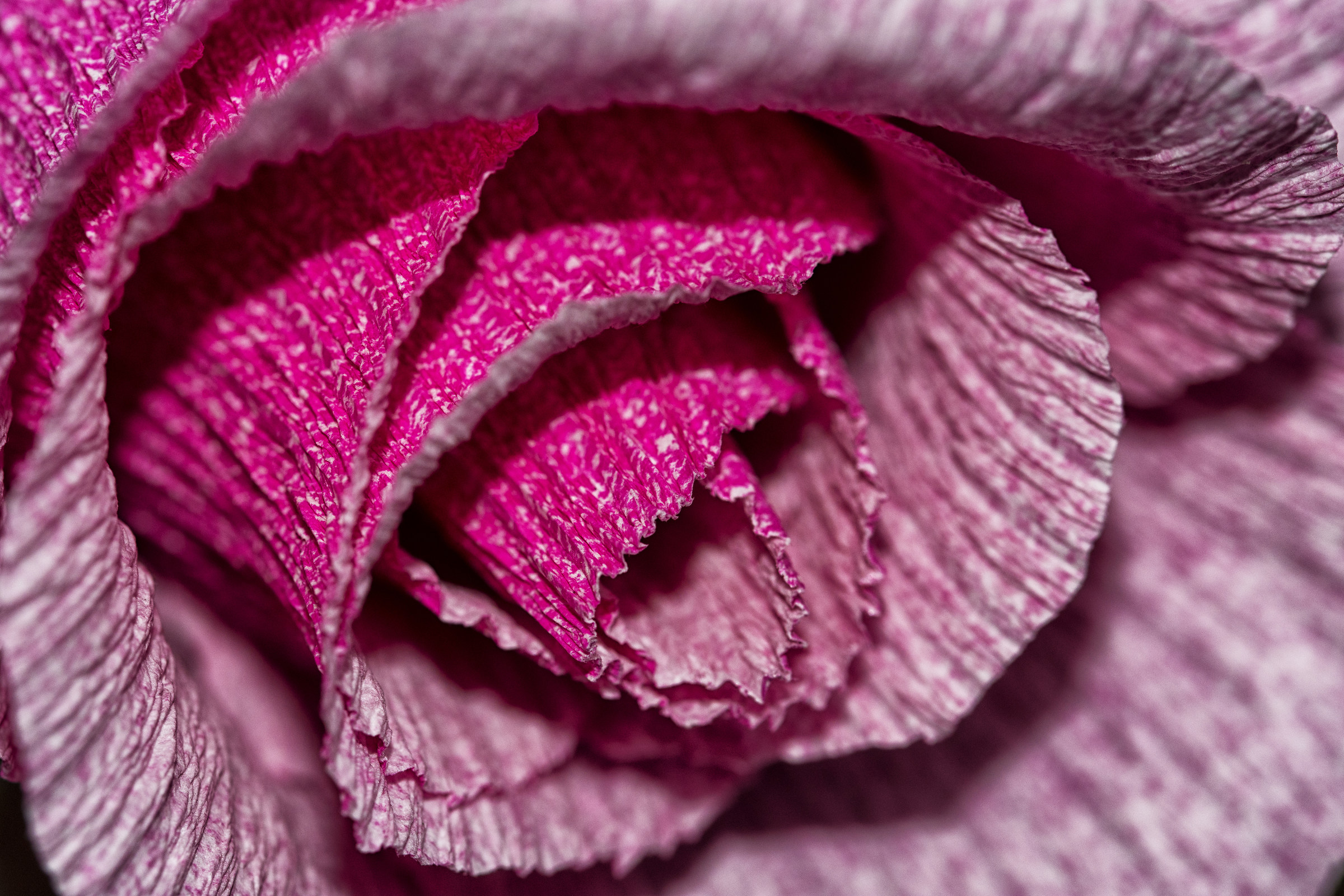 Festa di Santa Croce - Monte Isola