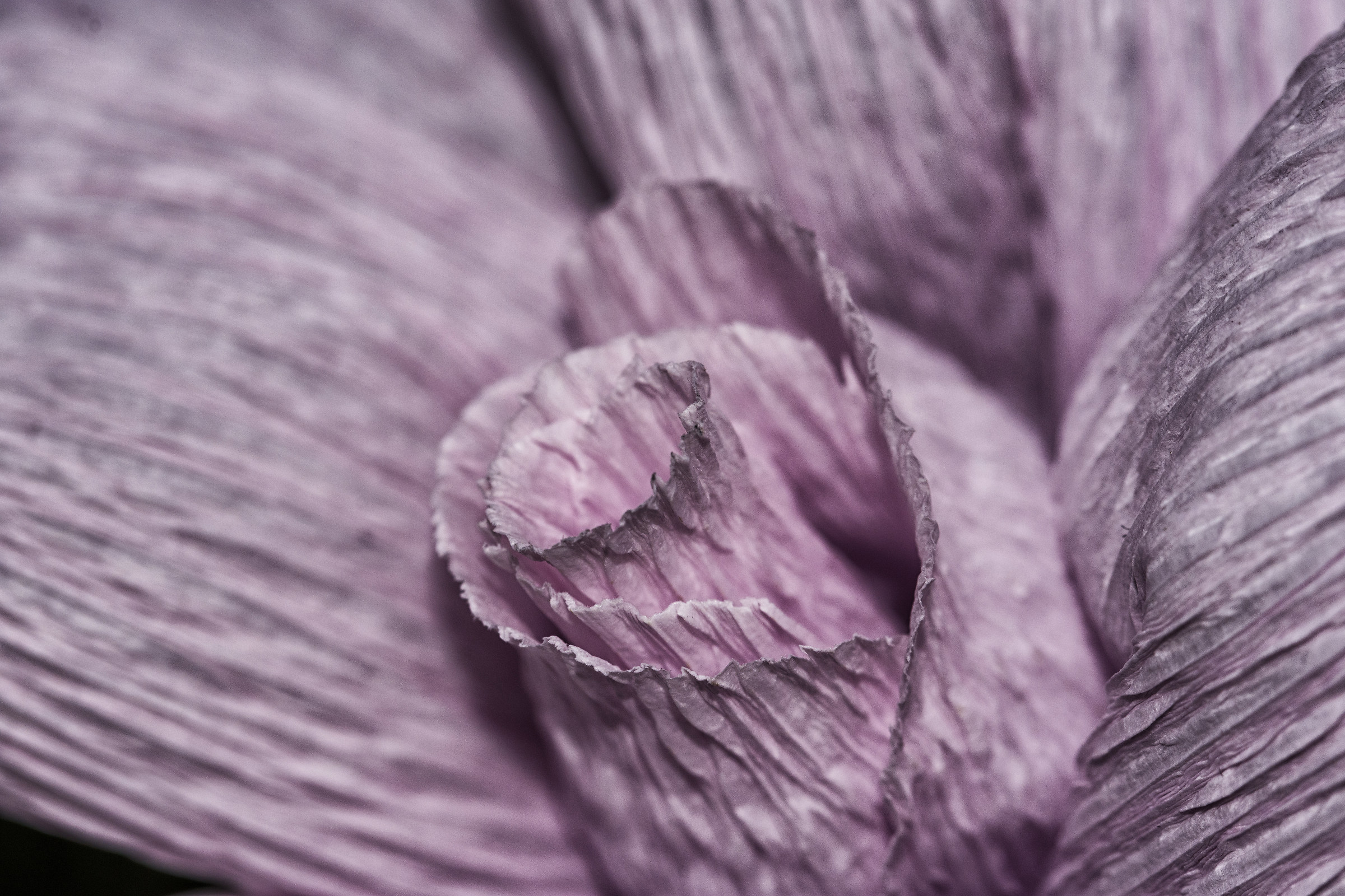 Festa di Santa Croce - Monte Isola