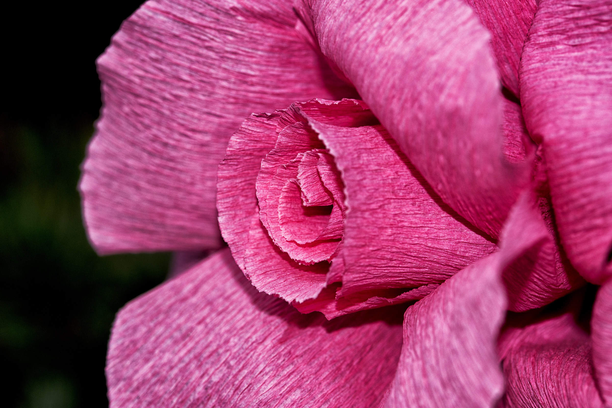 Festa di Santa Croce - Monte Isola