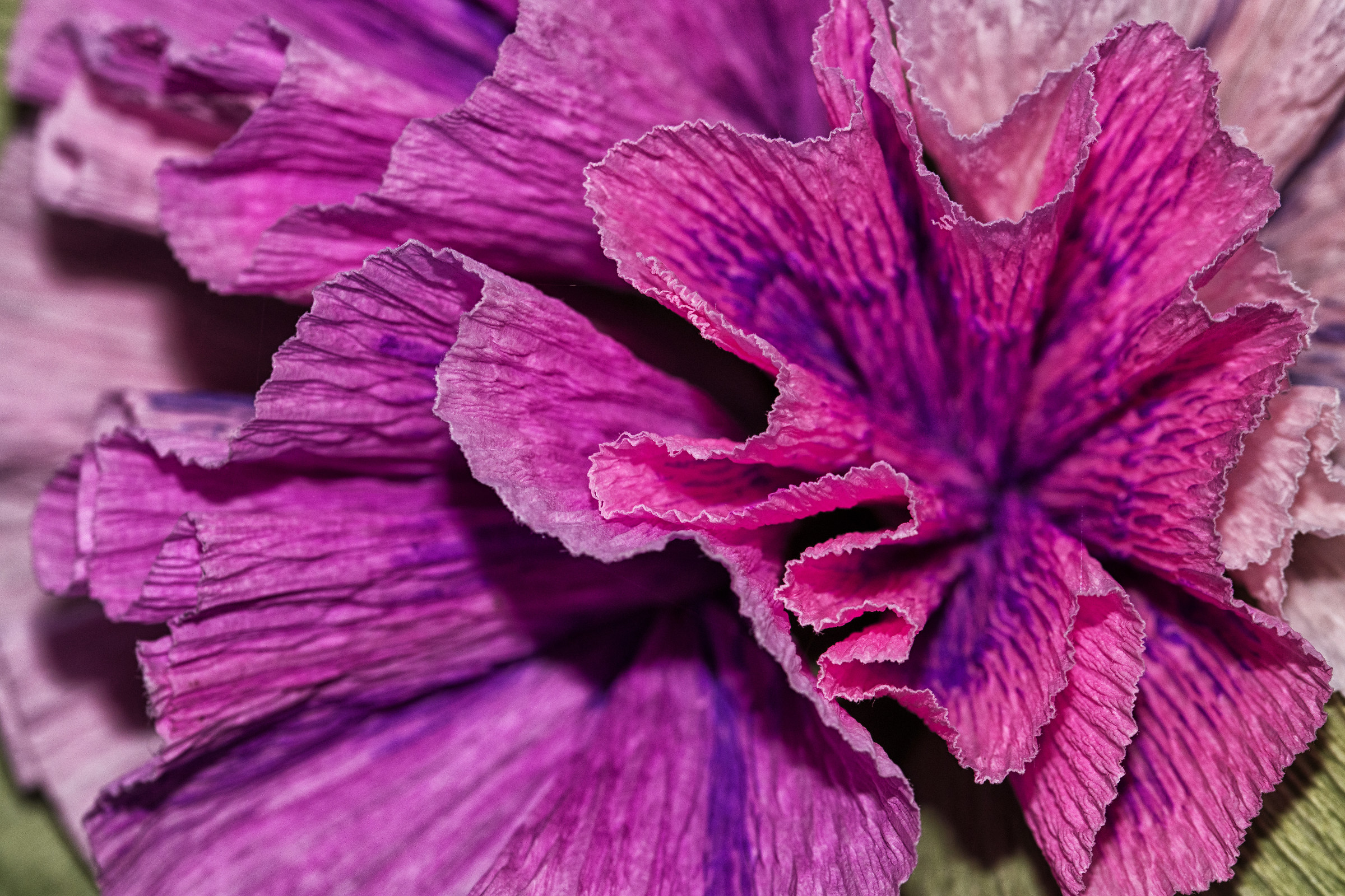 Festa di Santa Croce - Monte Isola